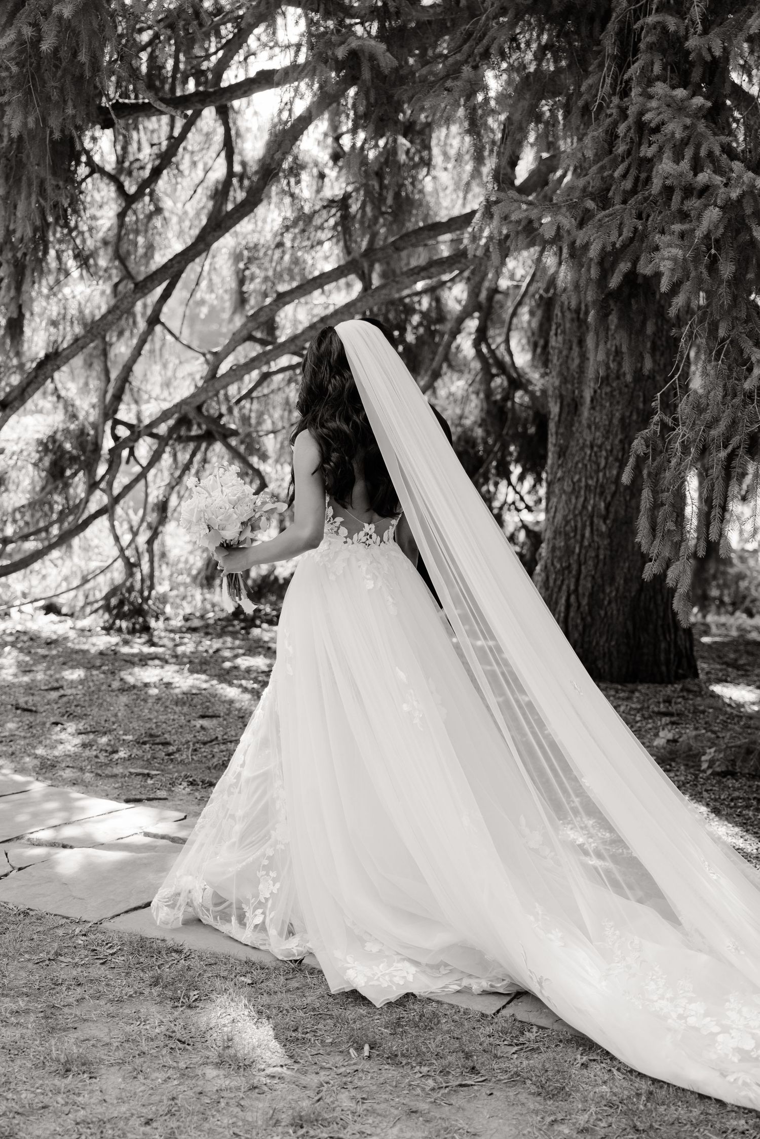 Black and white photo of an elegant bridal gown with flowing train against a backdrop of weeping willows.
