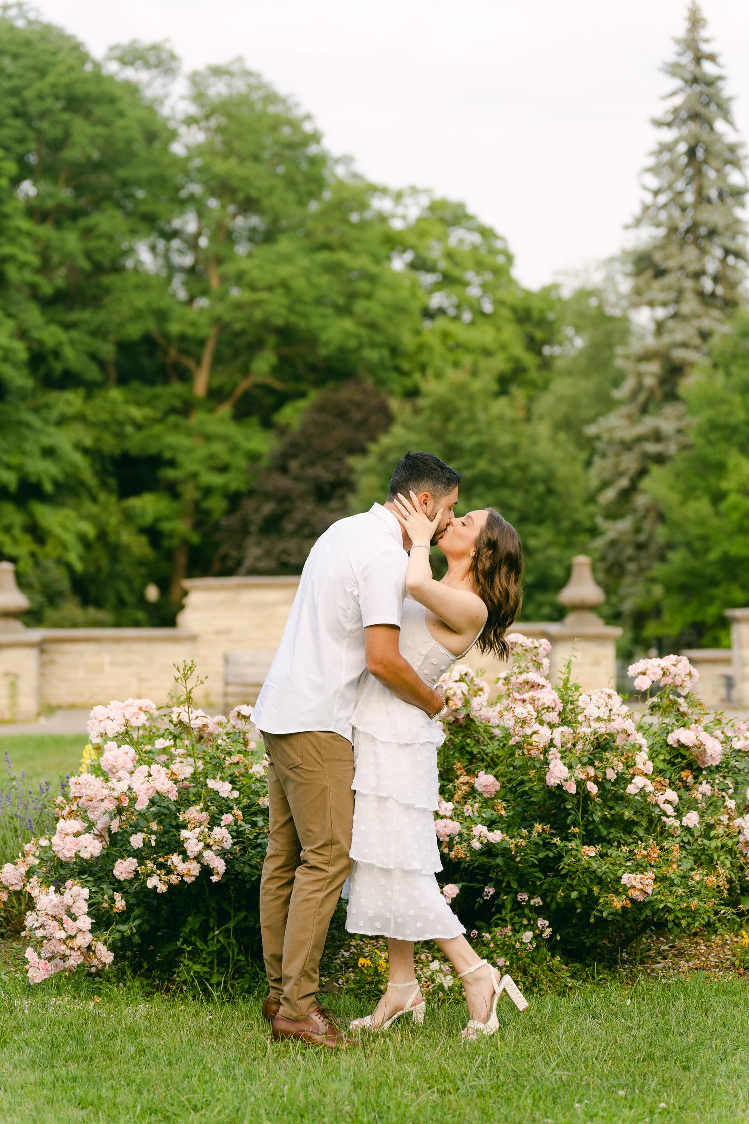 A loving embrace captured beside pink rose bushes in a sunlit garden.