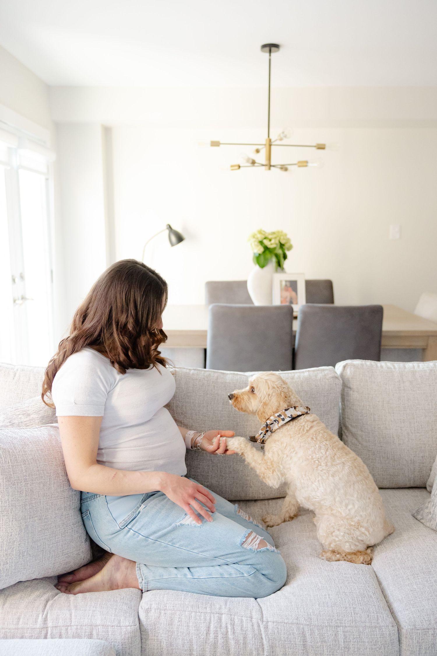 A pregnant woman sits on a grey couch with a small dog, in a bright living room with modern decor.