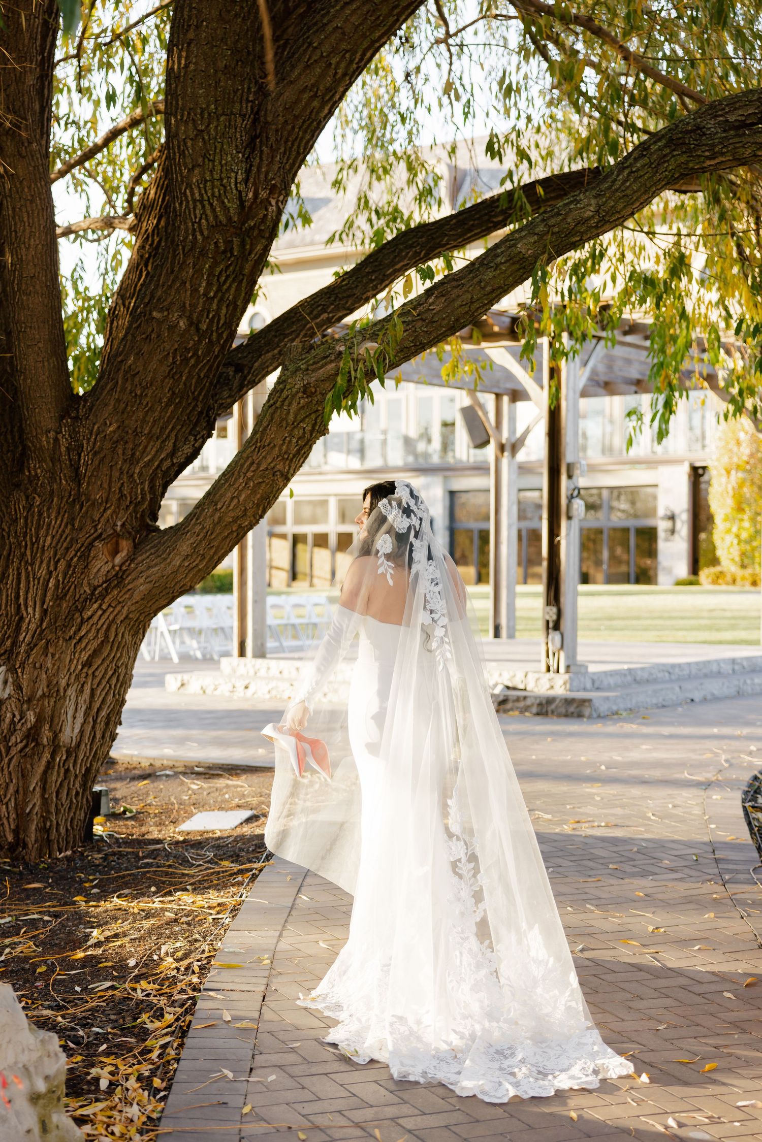 Long flowing bridal veil caught in sunlight under weeping willow tree branches.