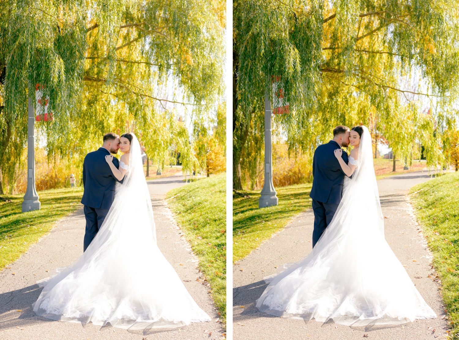 Elegant wedding couple shares romantic moment under golden weeping willow branches on paved pathway at sunset.