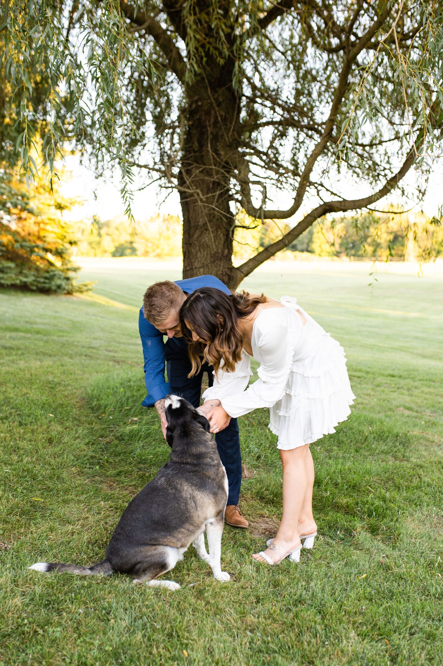 A couple pets their black and white dog during an outdoor photo session.