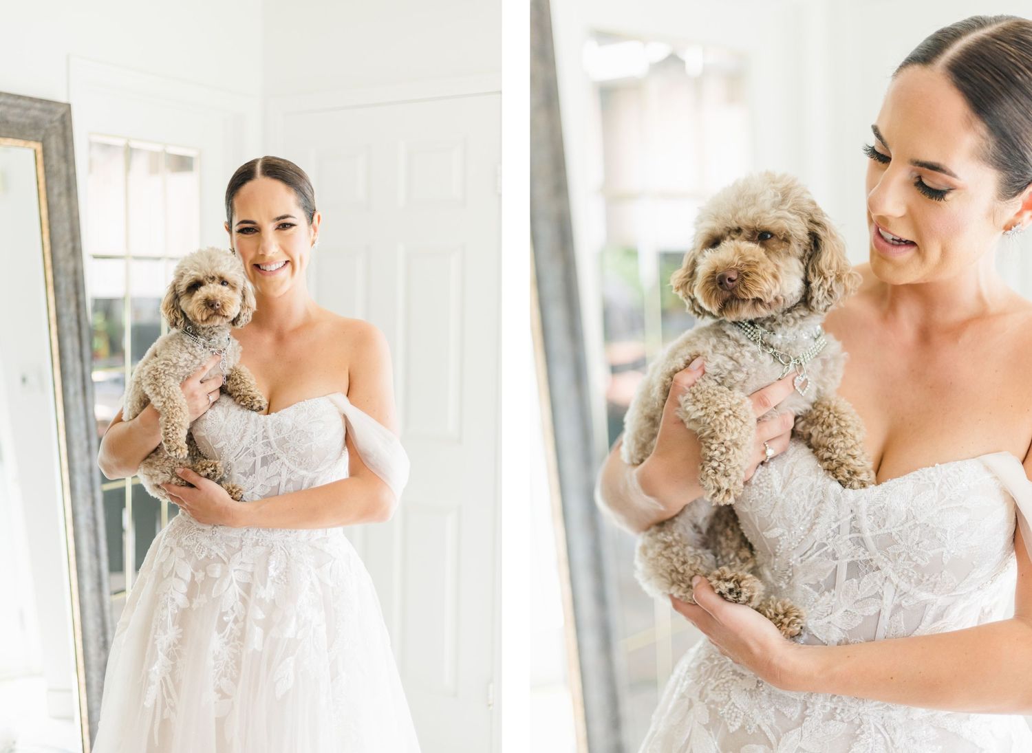 Sweet moment with small fluffy dog during bridal portraits in white dress.