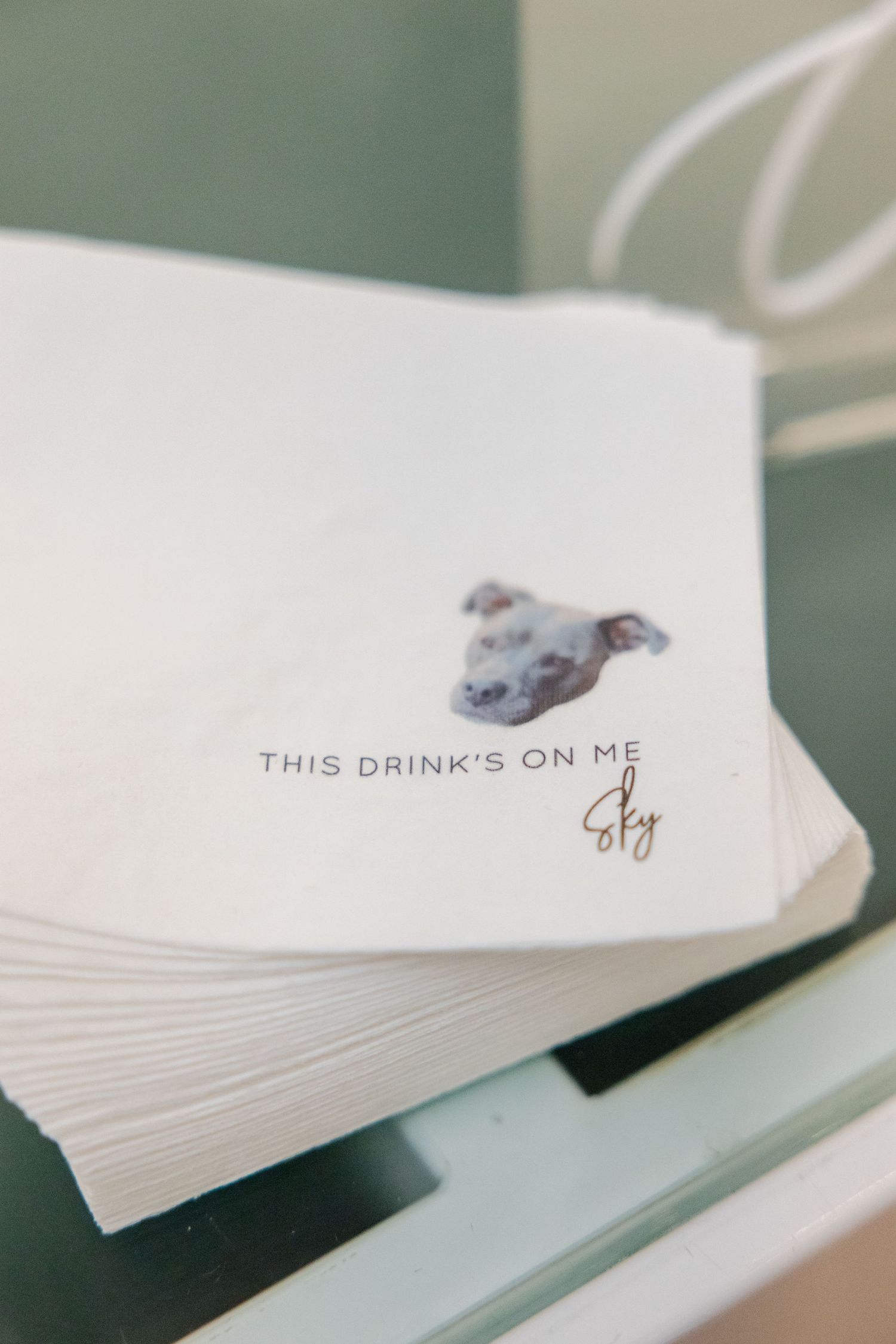 Wedding cocktail napkins with dog illustration and text reading 'This drink's on me'.