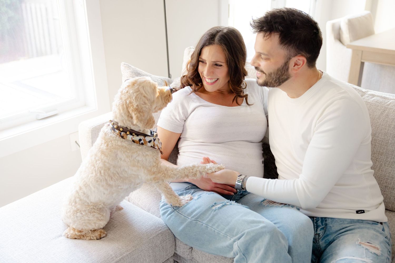 Expectant couple on couch with dog touching pregnant woman's belly in sunny living room.