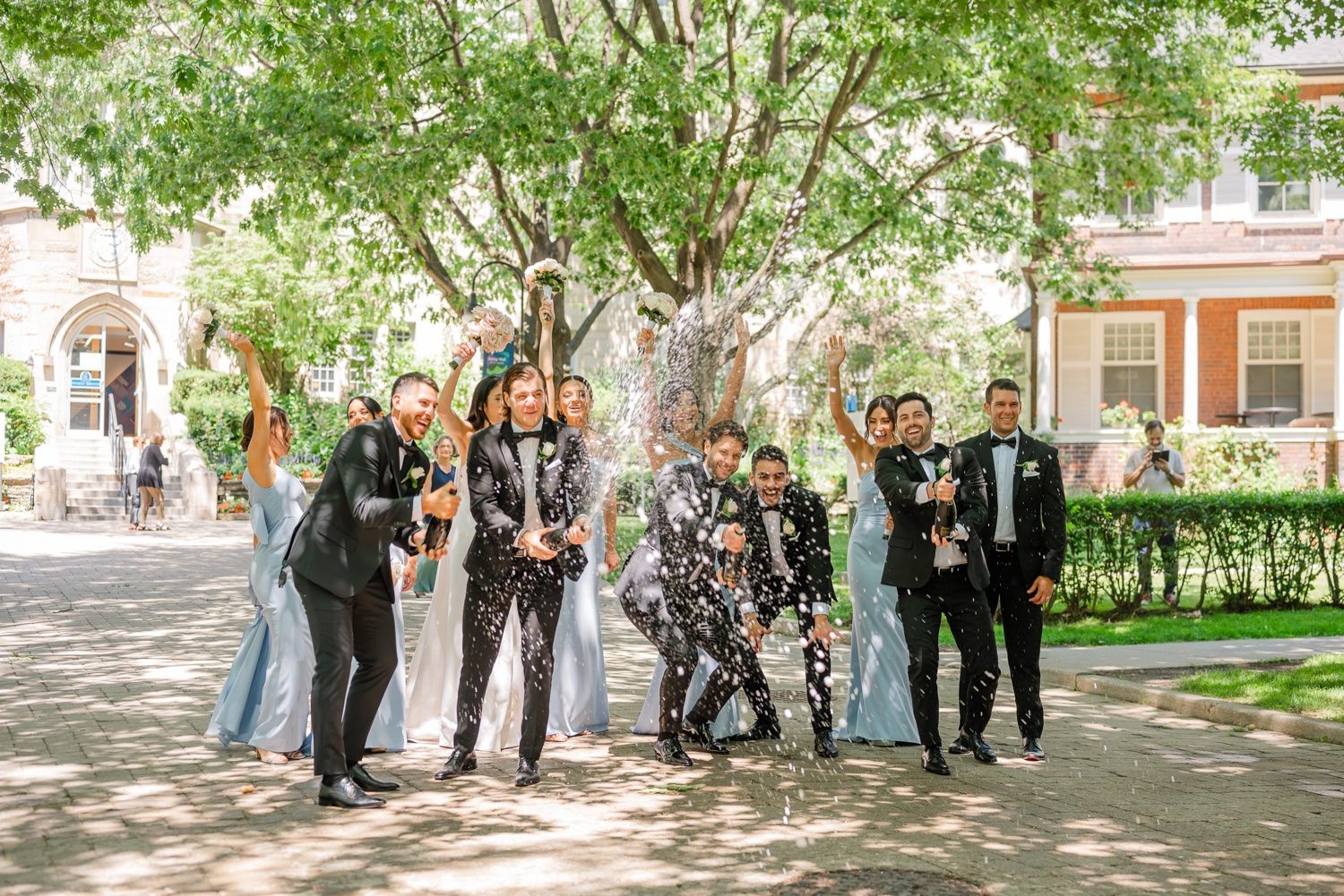 Wedding party celebrates with confetti toss under a tree on a bright sunny day.