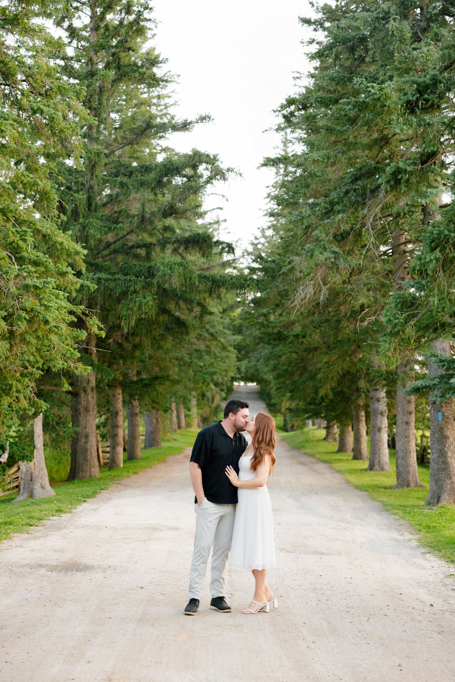 A couple shares a romantic moment on a beautiful tree-lined dirt path.