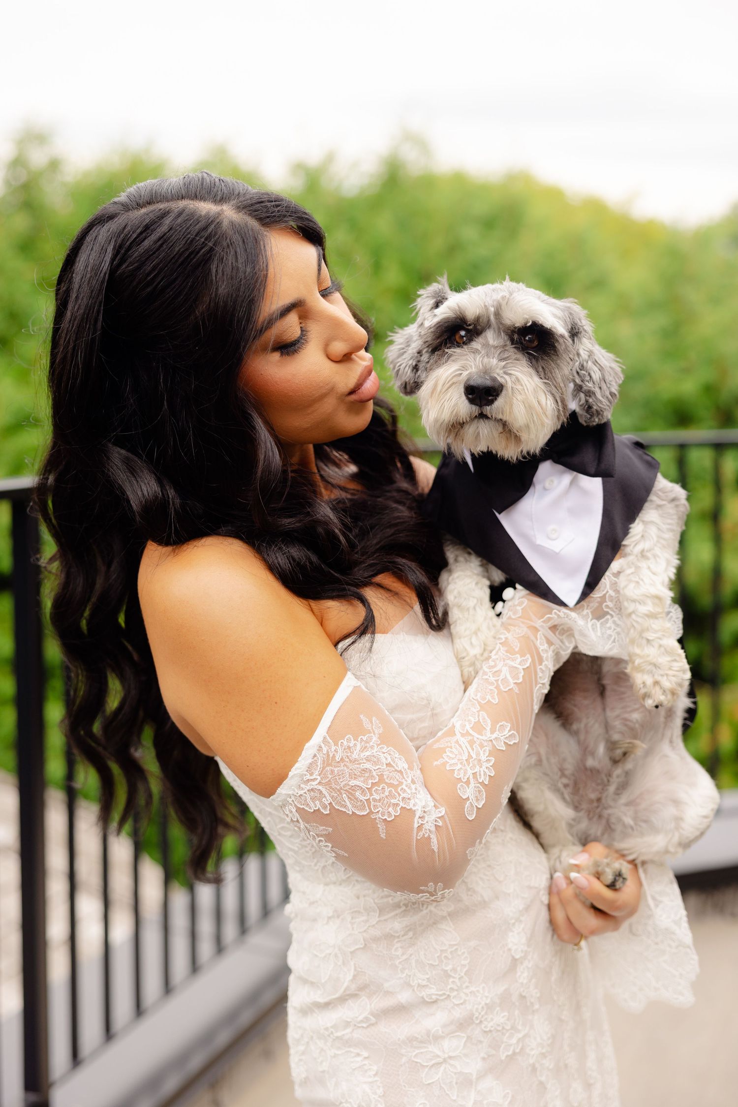 A heartwarming photoshoot showing affection between a bride in a lace gown and a gray dog wearing a tuxedo bow tie.