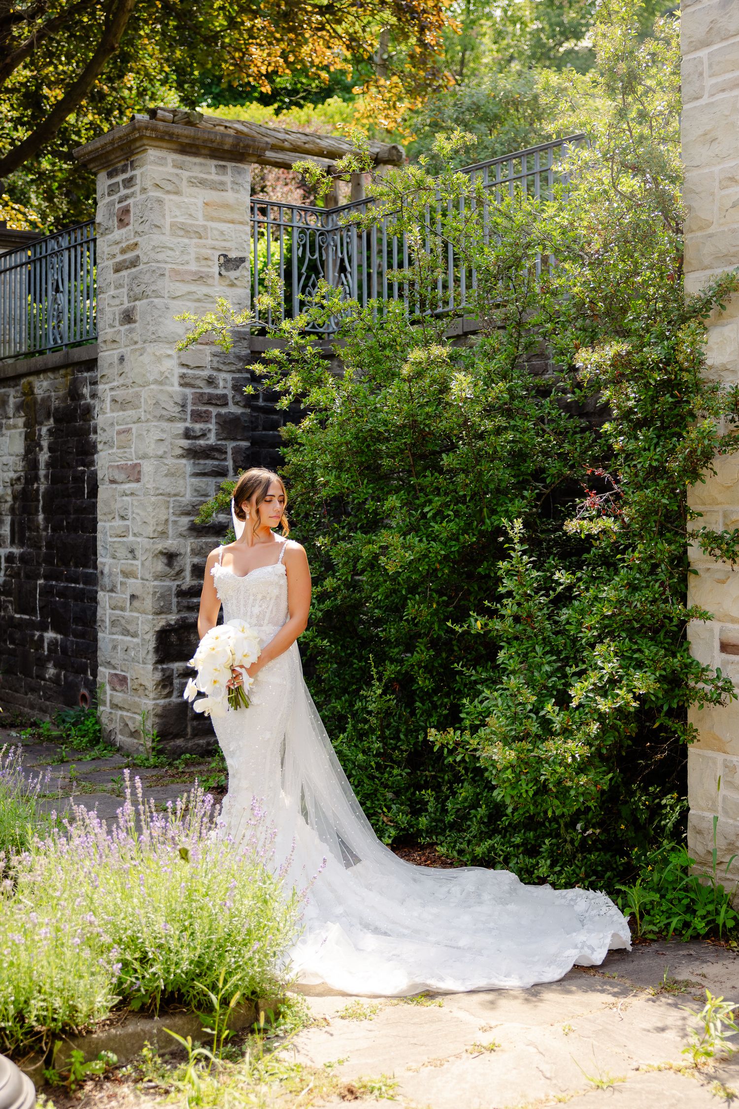A bride in a flowing white lace gown with long train stands in a garden setting with stone walls and flowering lavender.