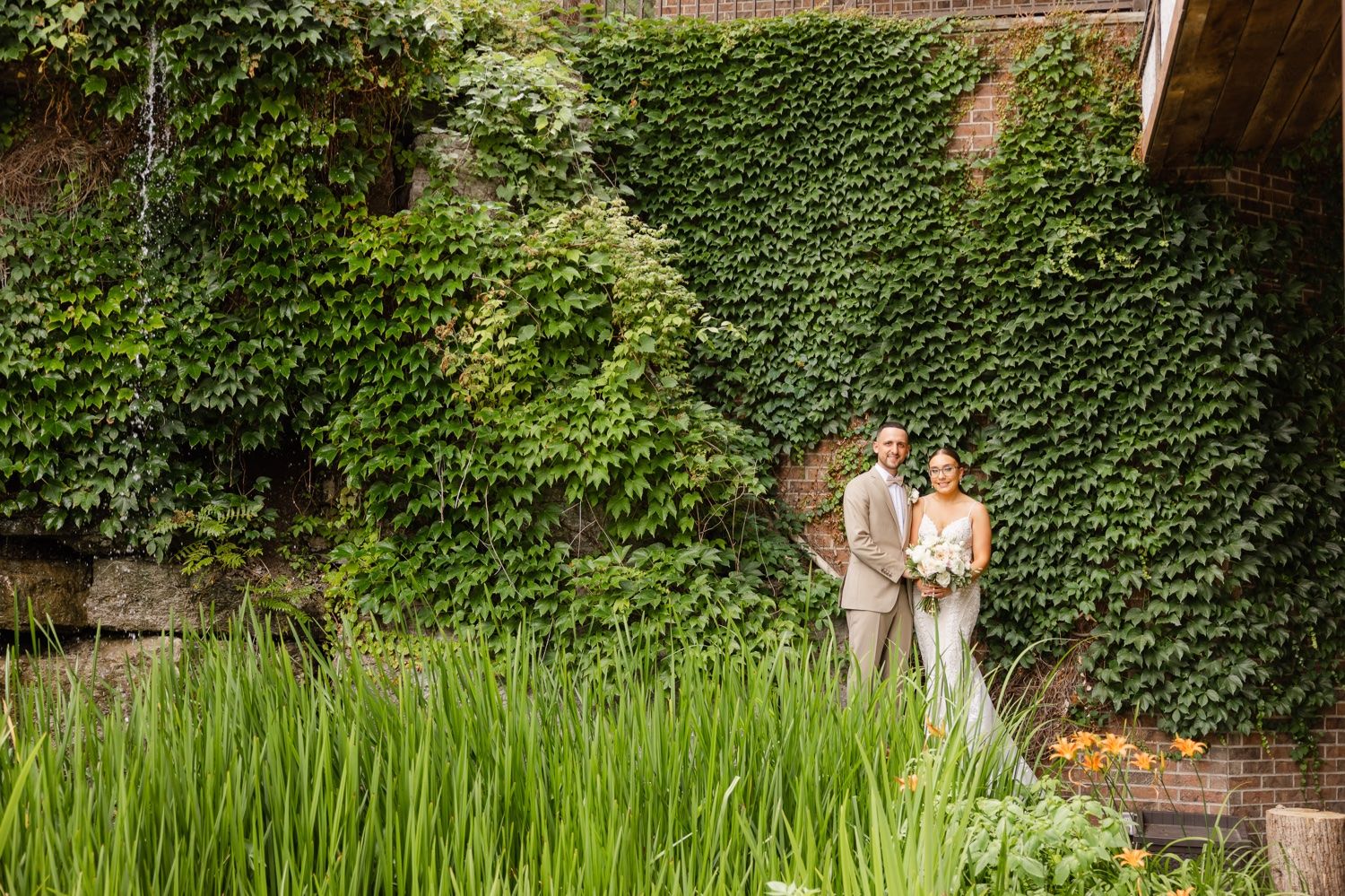 Wedding couple poses in front of ivy wall and ornamental grasses.