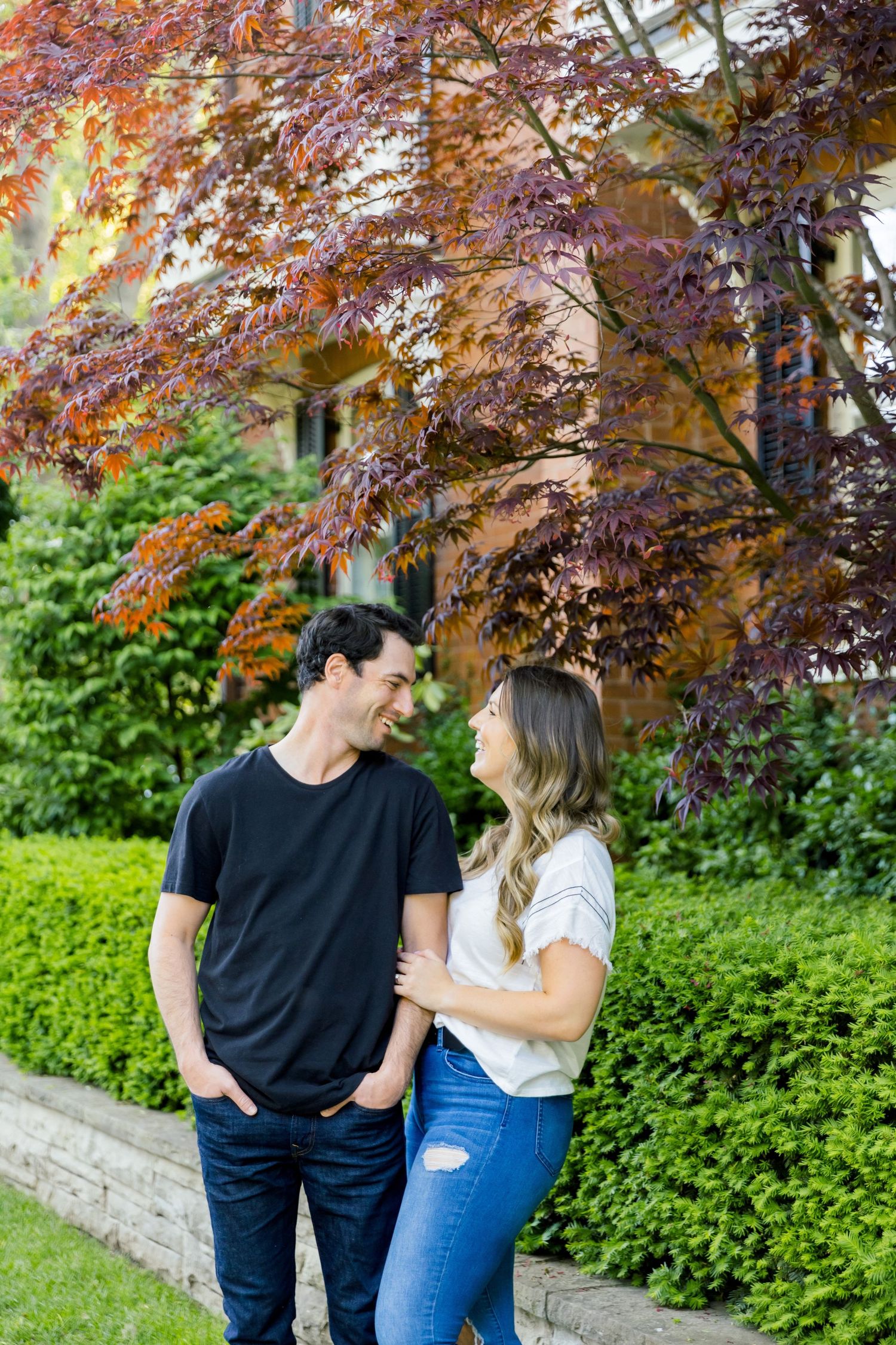A couple shares an intimate moment under a vibrant red maple tree beside neatly trimmed hedges.