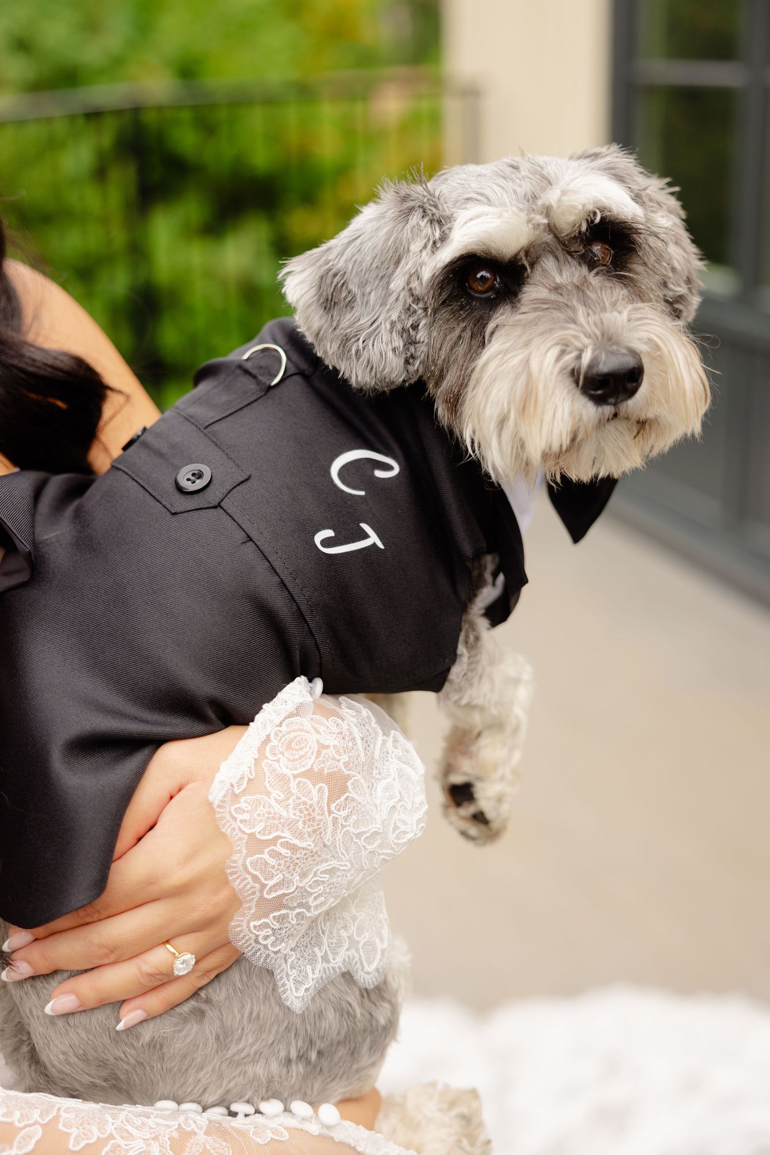 Small white dog wearing a formal black pet tuxedo suit with white lace details being photographed from multiple angles.