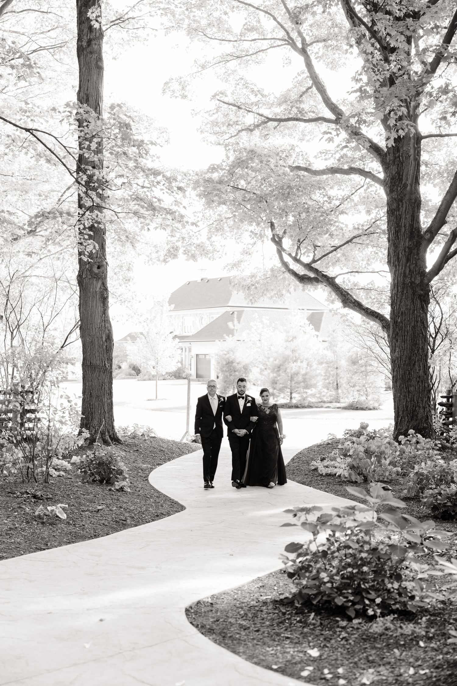 Black and white photo of a winding garden path between tall trees leading to a house.