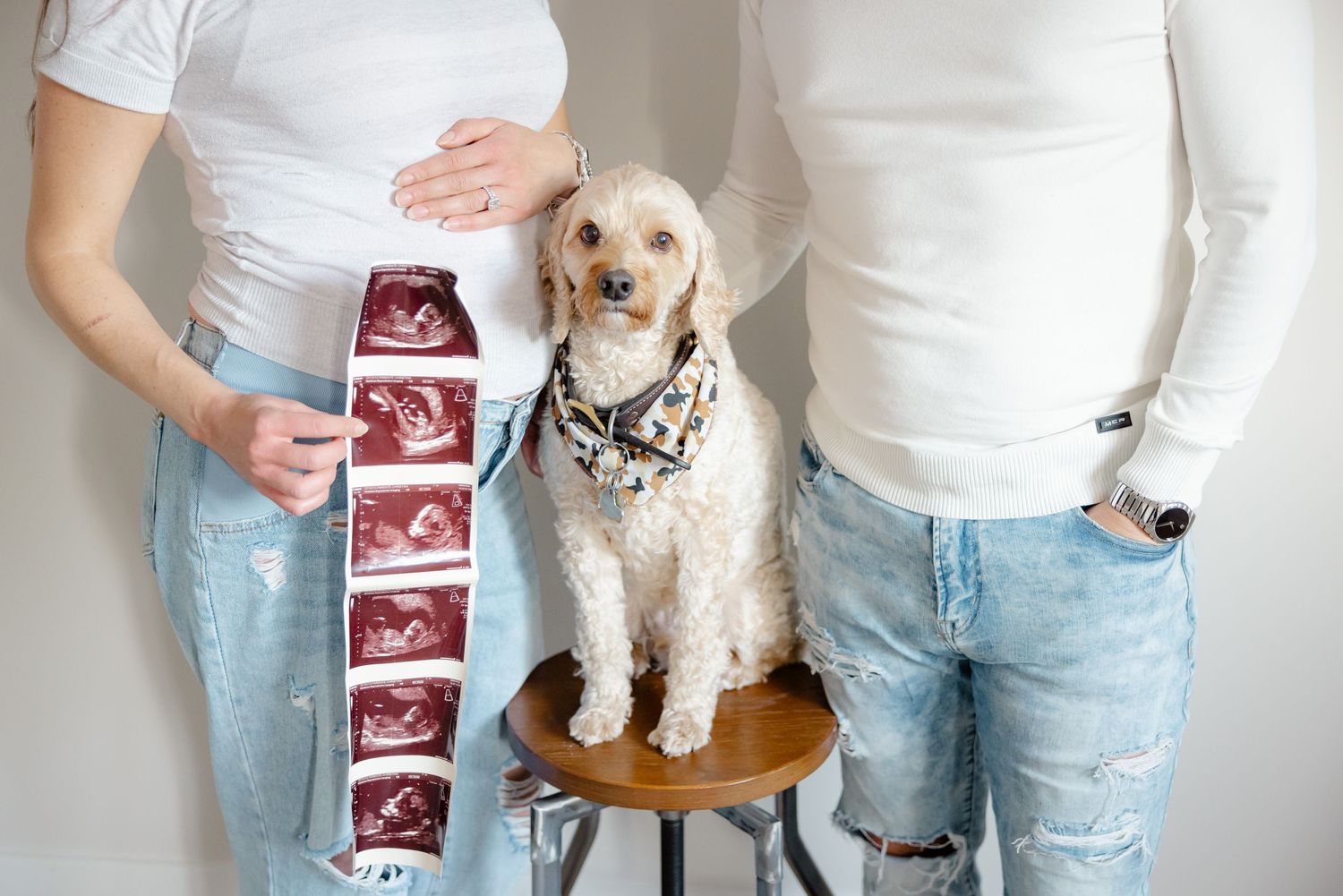 A couple displays ultrasound images and a small dog sits on a stool beside them.