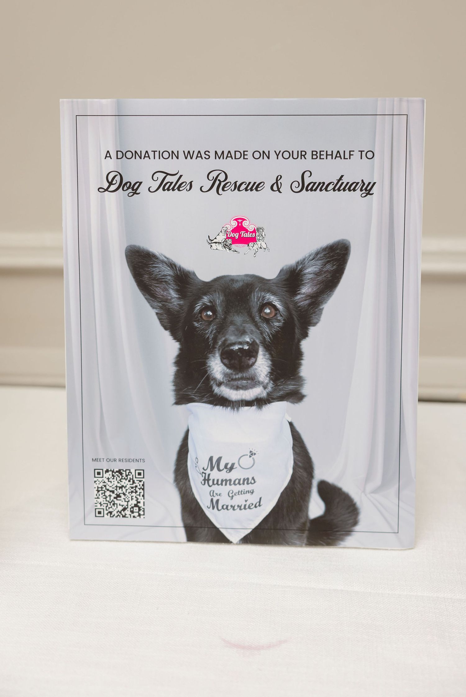 Dog Tales Rescue and Sanctuary donation cards featuring close-up portraits of black and white rescue dogs.
