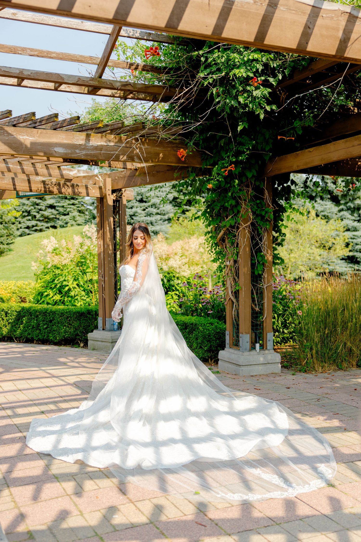 Dramatic cathedral train wedding dress photo with shadows cast through garden pergola.