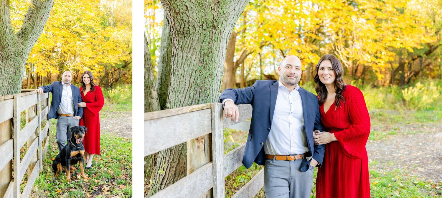 Multiple poses of couple by wooden fence with vibrant yellow fall trees in background.