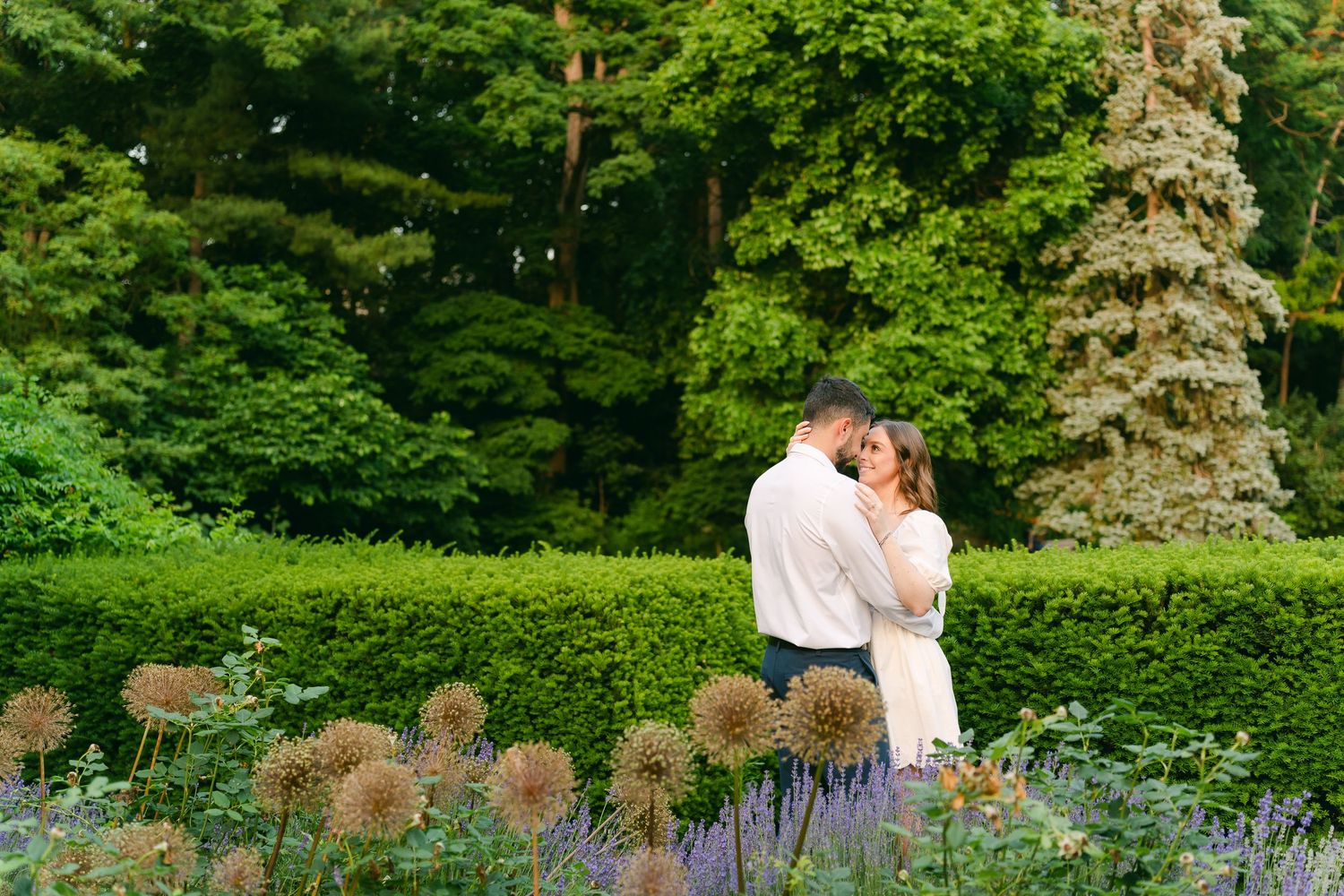 Couple embracing in a garden with purple flowers and manicured hedges in the background.