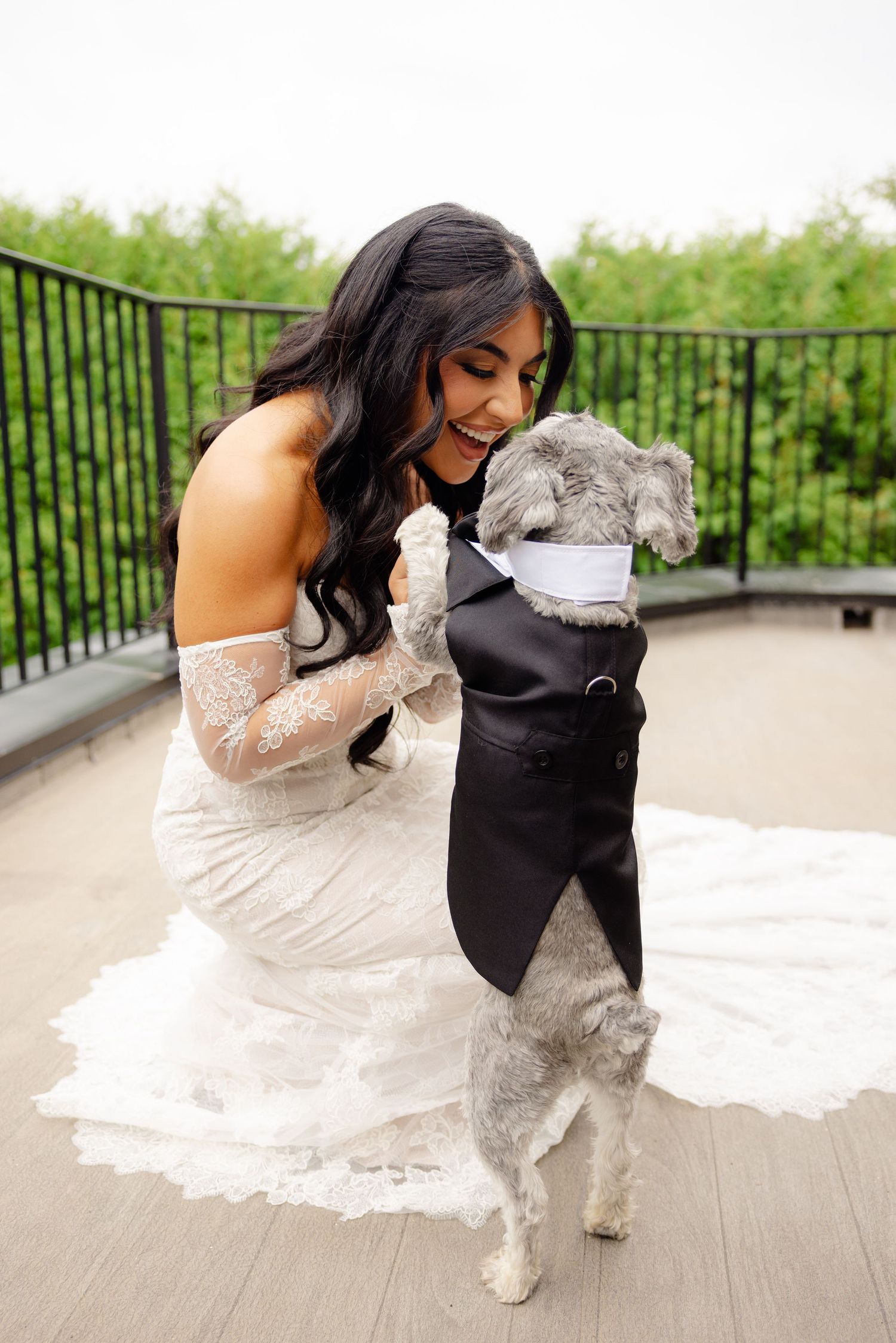 Sweet moments captured between a bride in white lace and her dressed-up gray dog on a patio deck.