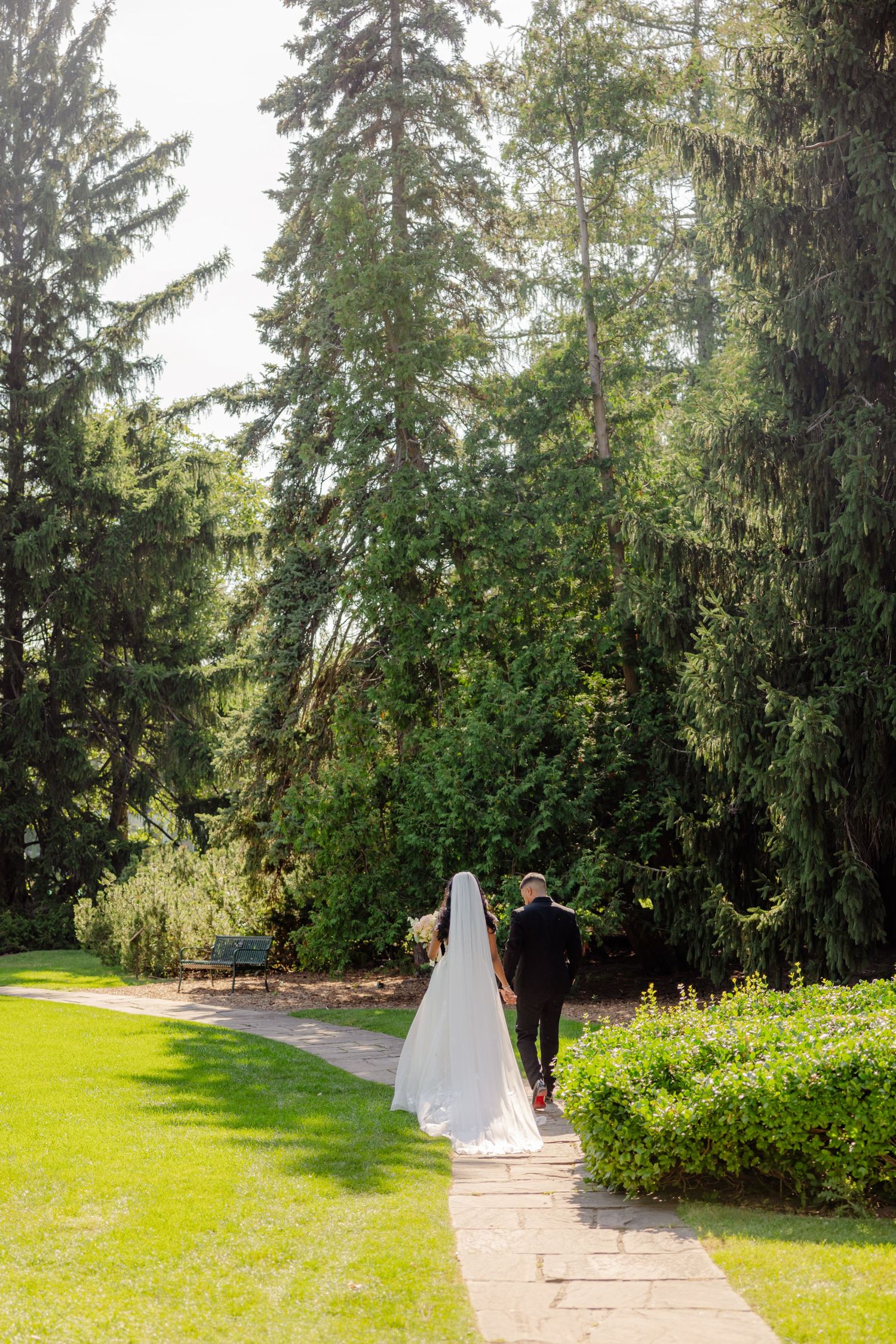 A wedding couple walks down a sunlit garden path surrounded by tall evergreen trees.