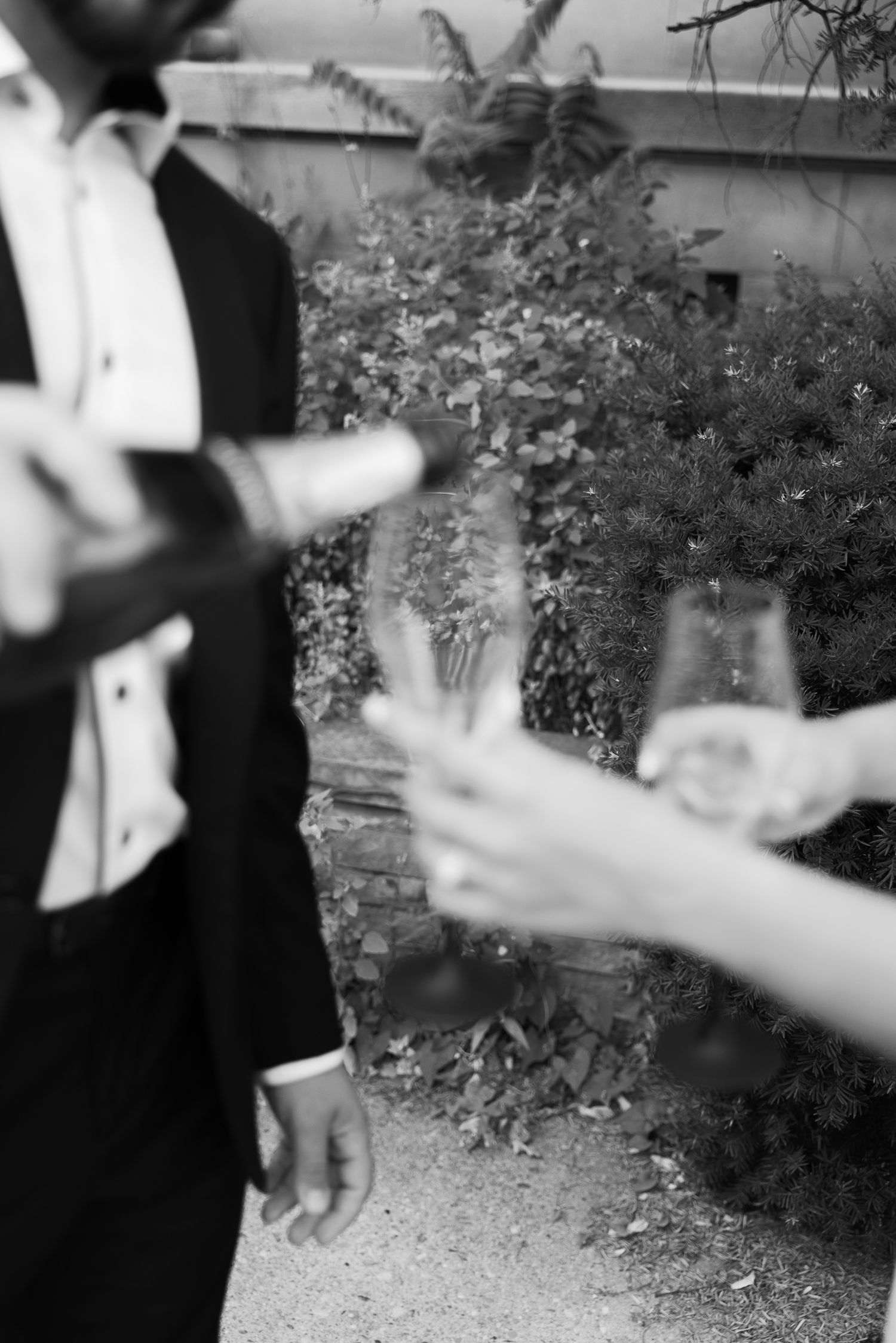 Black and white photo of hands toasting with champagne glasses in an outdoor garden setting.