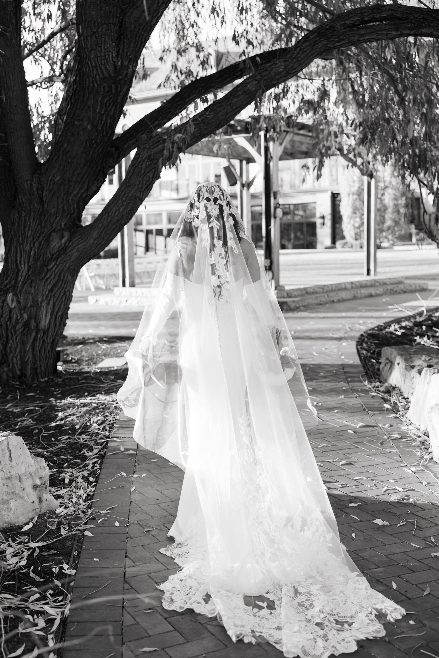 Black and white photo of flowing lace wedding veil beneath willow tree branches.