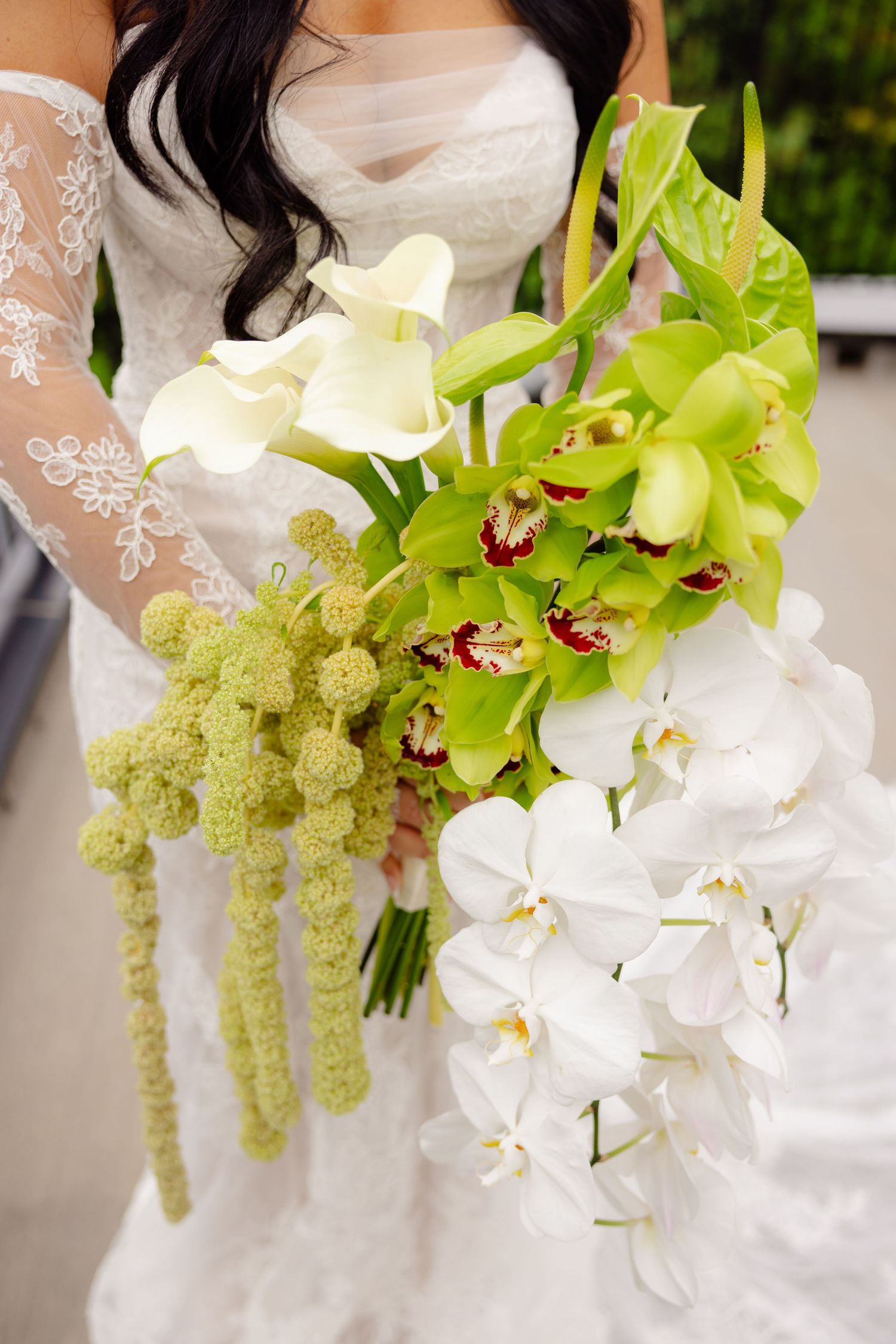 A luxurious bridal bouquet features green orchids, white calla lilies, and cascading amaranthus against a white lace dress.