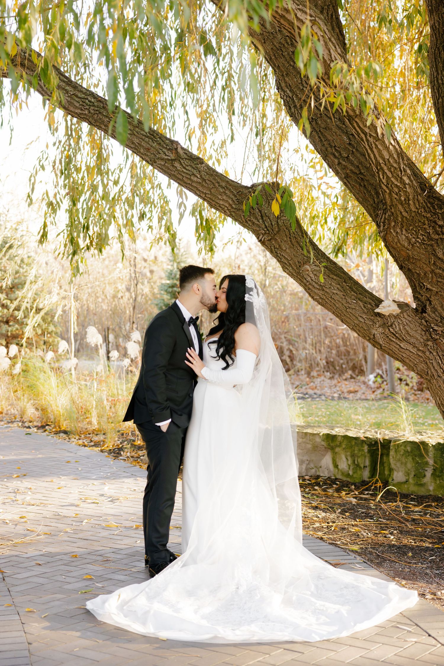 A tender wedding moment captured beneath a golden willow tree on a stone path.