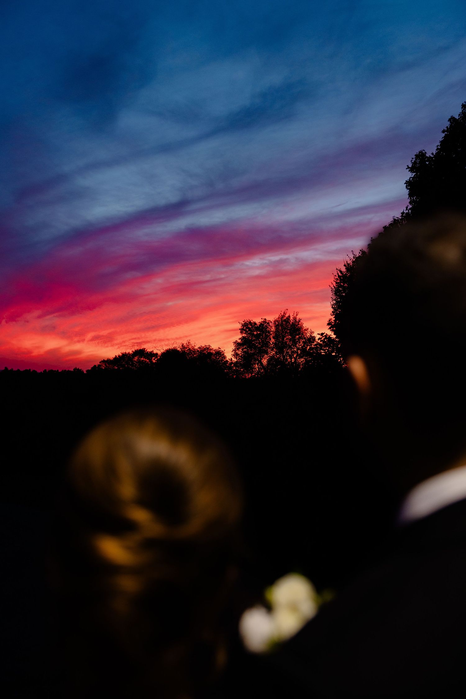 A dramatic sunset sky with vibrant pink and purple clouds silhouetted against dark trees.