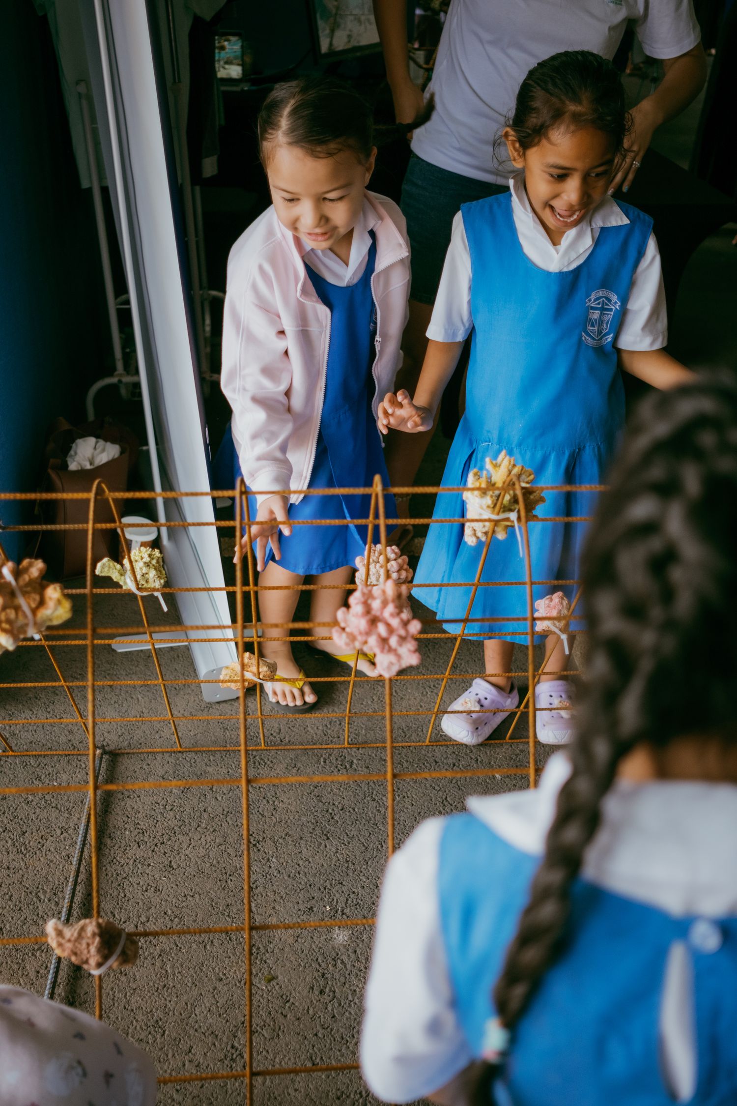 Two young girls in school uniforms smile while looking at seashells displayed on an orange metal grid.