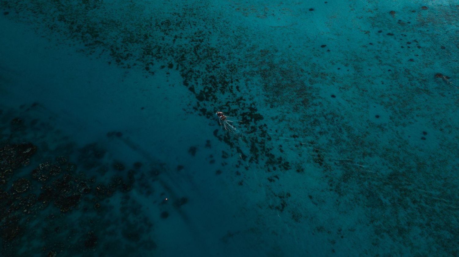 Aerial view of a lone swimmer navigating turquoise ocean waters above a dark coral reef below.