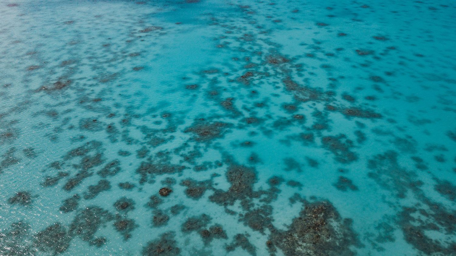 Aerial view of vibrant turquoise ocean water with colorful coral reef formations visible beneath the surface.