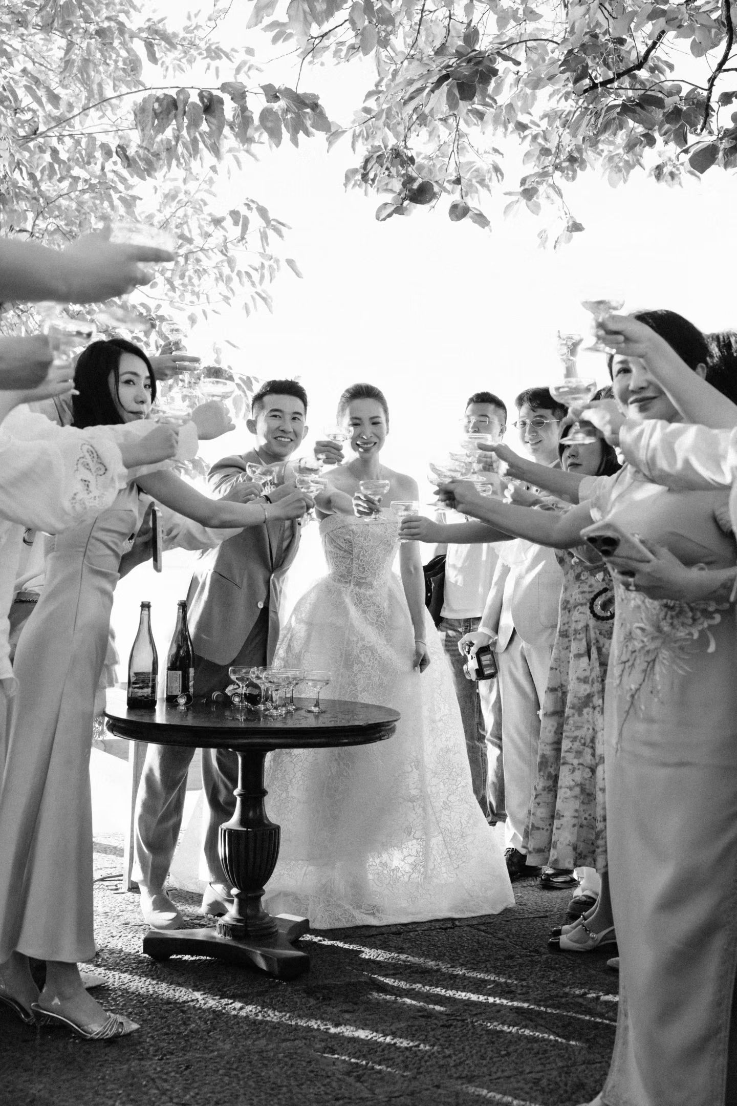 Black and white wedding toast with bride, groom, and guests raising glasses under tree outdoors.
