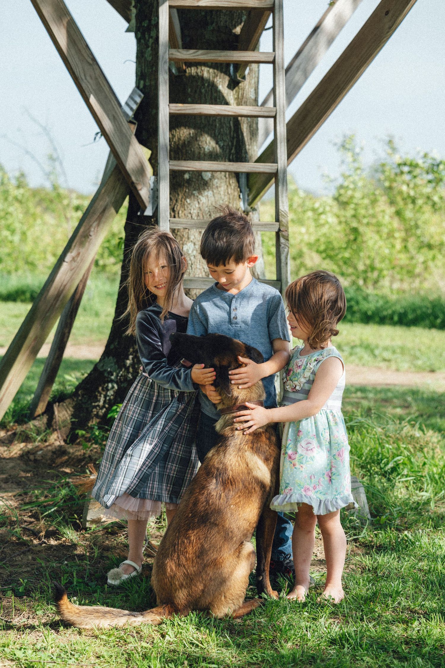 Three children petting a brown dog outdoors near a wooden treehouse ladder on a sunny day.