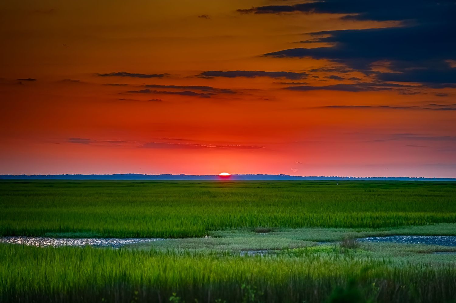 Brilliant red sunset over lush green salt marsh wetlands at dusk.
