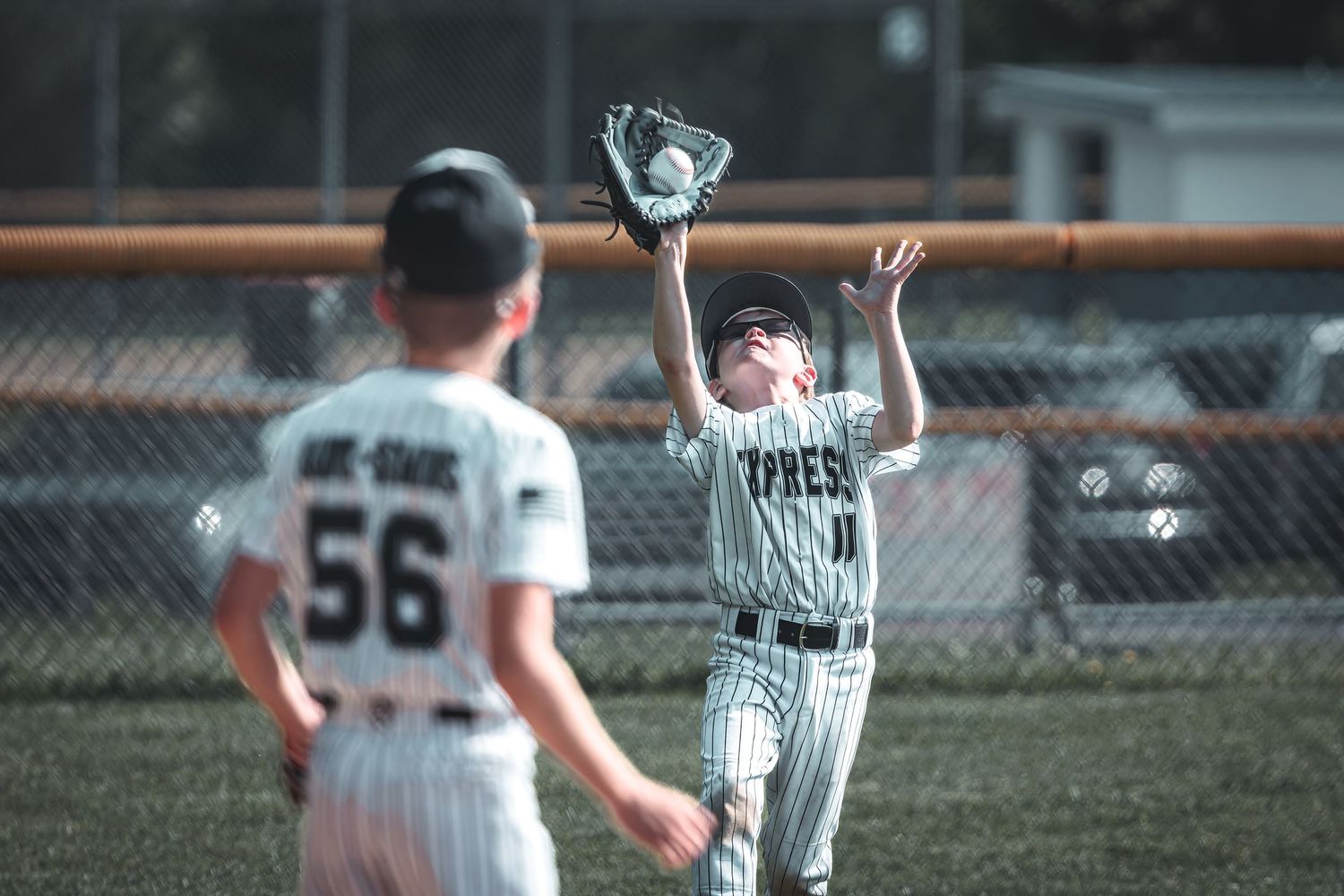 Baseball player catching a fly ball in the outfield during a youth league game, teammate wearing number 56 visible in background.