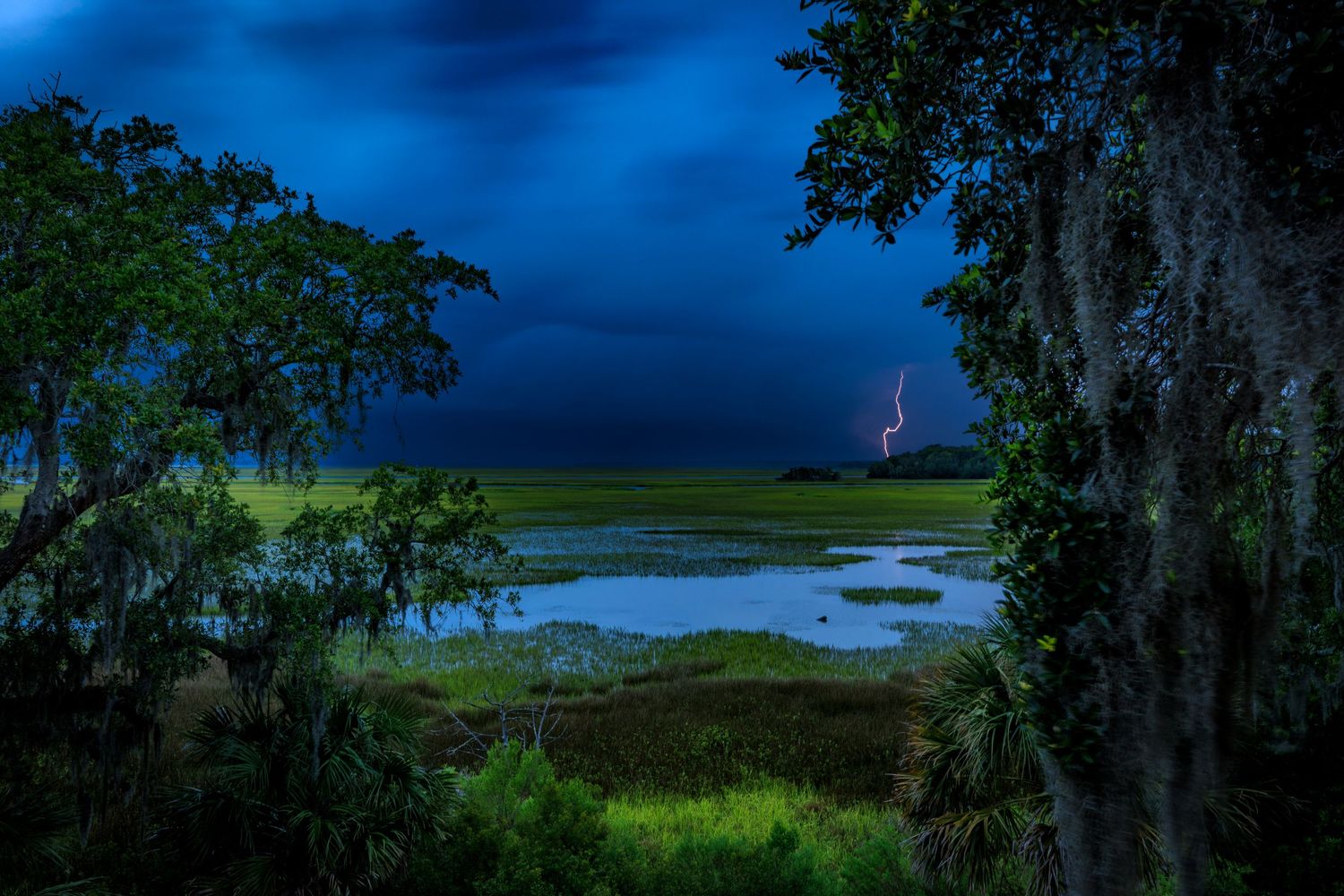 Lightning strikes over a lush green coastal marsh at night with dramatic blue storm clouds.