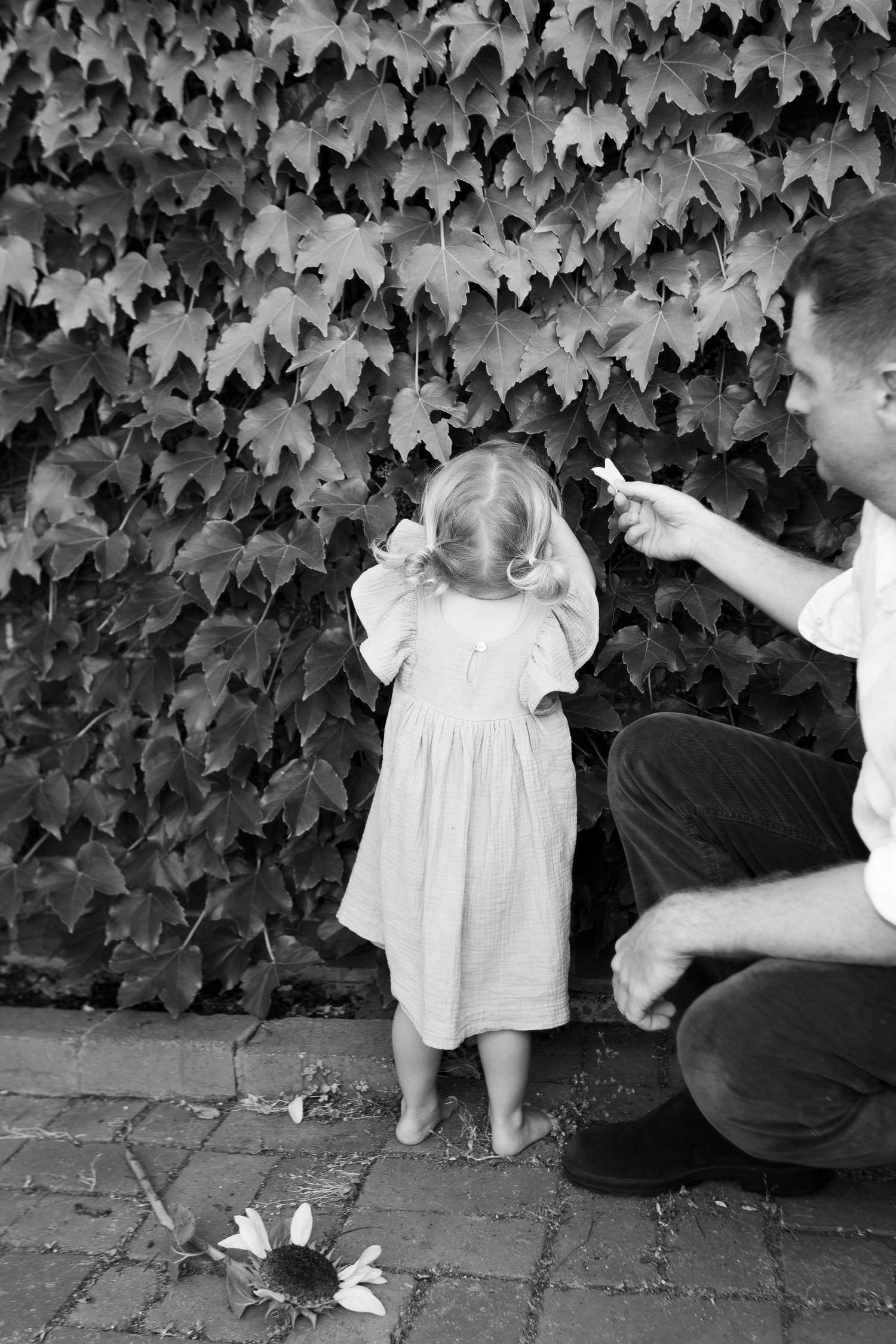 A sequence of black and white photographs showing a small child in a white dress playing near an ivy-covered wall.