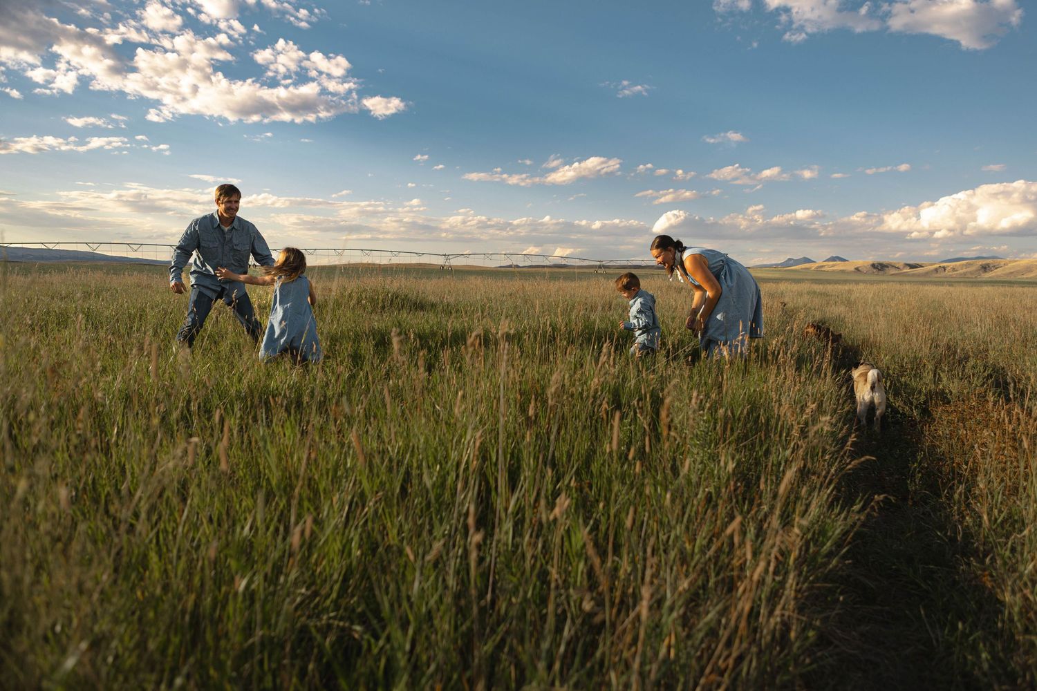 A group walks through tall grass in an open prairie landscape at sunset with dogs accompanying them on the trail.