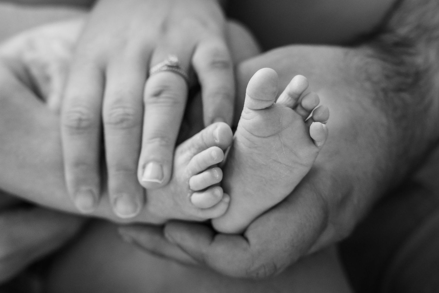 Black and white photo of adult hands gently cradling tiny newborn baby feet, symbolizing love and new parenthood.