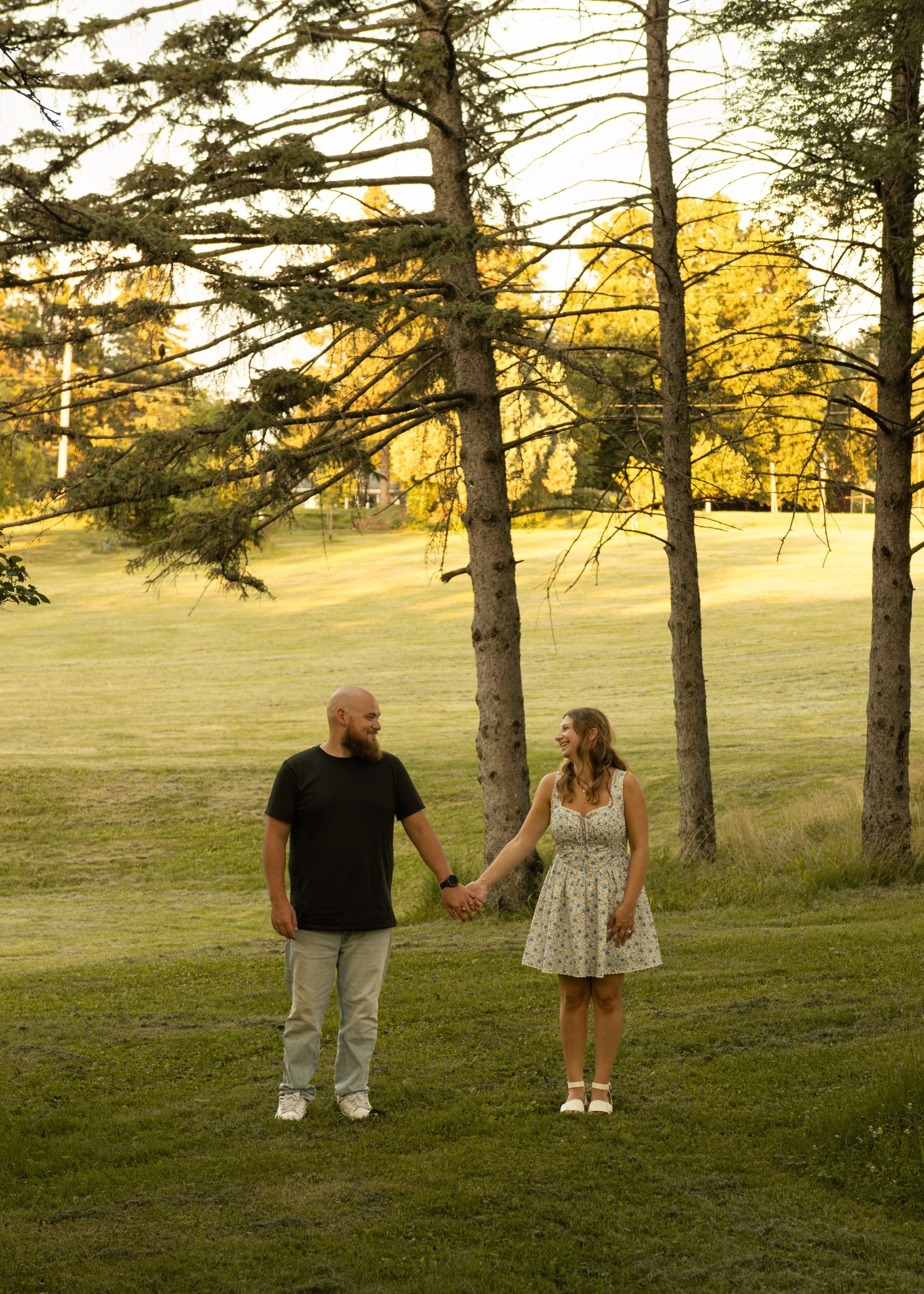 Couple holding hands in golden hour sunlight on green grass, surrounded by tall pine trees in a park setting.