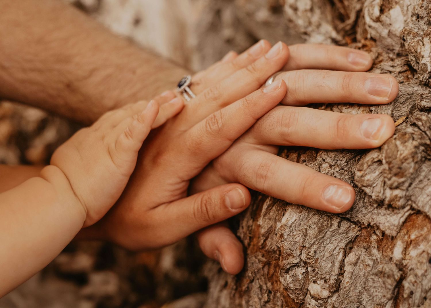 Close-up of parent and child hands resting on a tree during an outdoor summer family photography session at Toronto Botanical Garden.