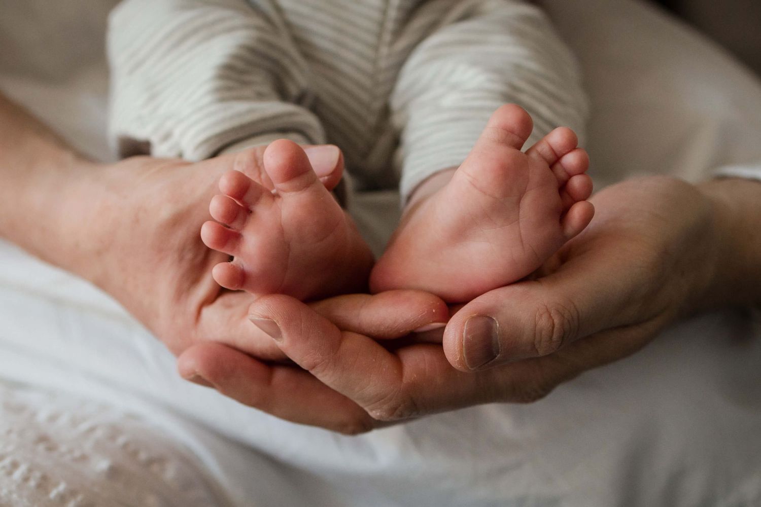 Newborn baby feet gently held by a parent during a lifestyle newborn photography session in Toronto.