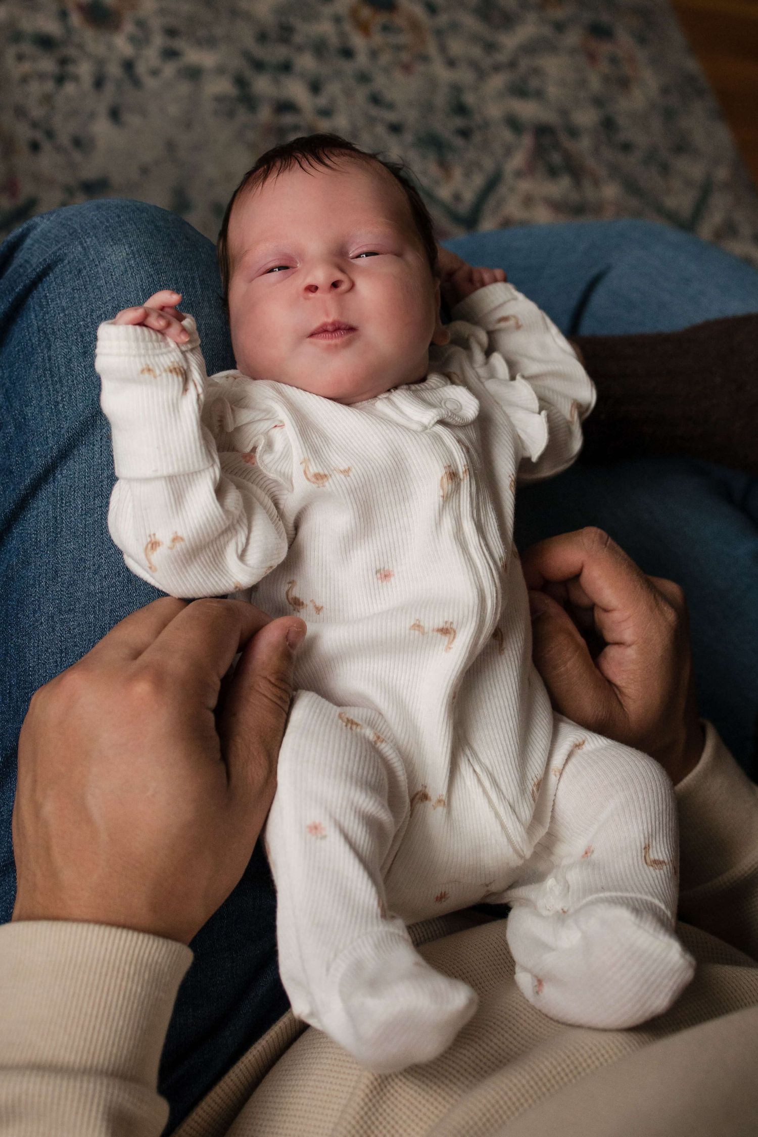 Newborn baby resting in a parent’s lap during an in-home newborn photography session in Toronto, capturing natural family moments.