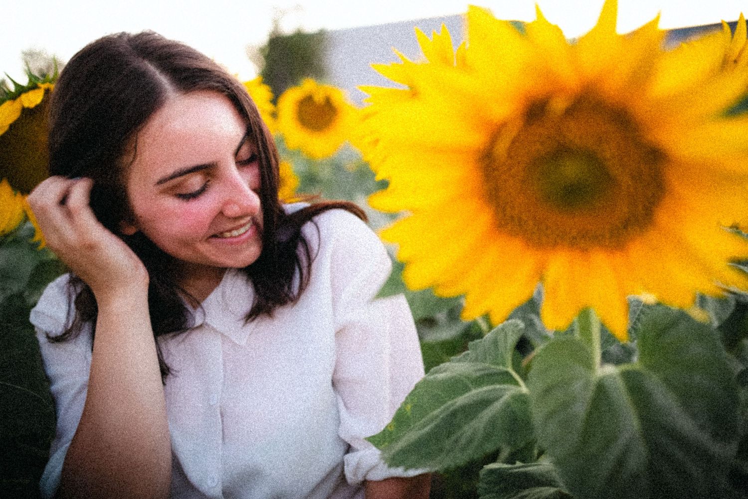 Lifestyle portrait of a smiling woman in a sunflower field during sunset – warm outdoor portrait photography. in Bulgaria