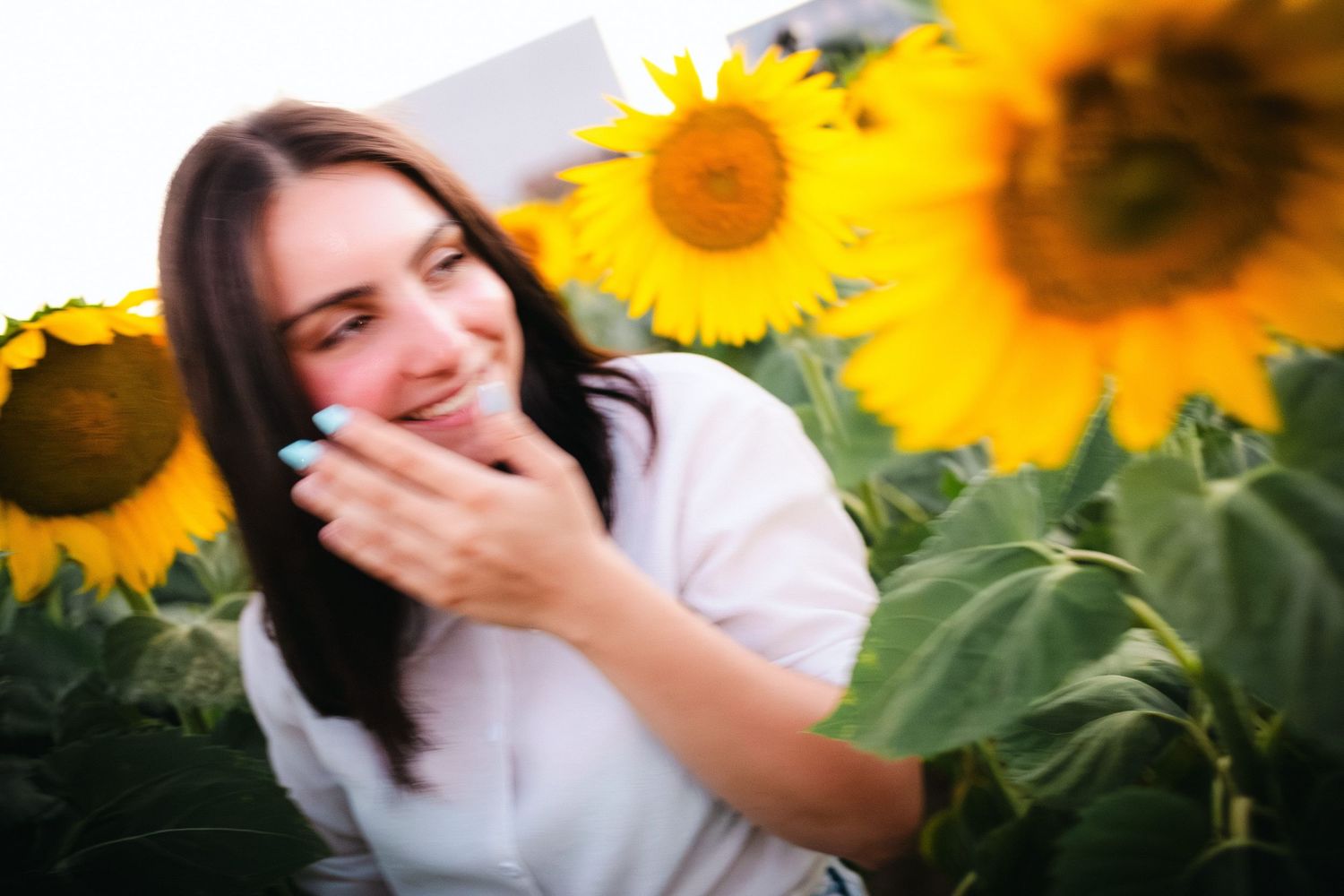 Candid portrait of a woman laughing among sunflowers in warm evening light – lifestyle portrait photography. in Bulgaria