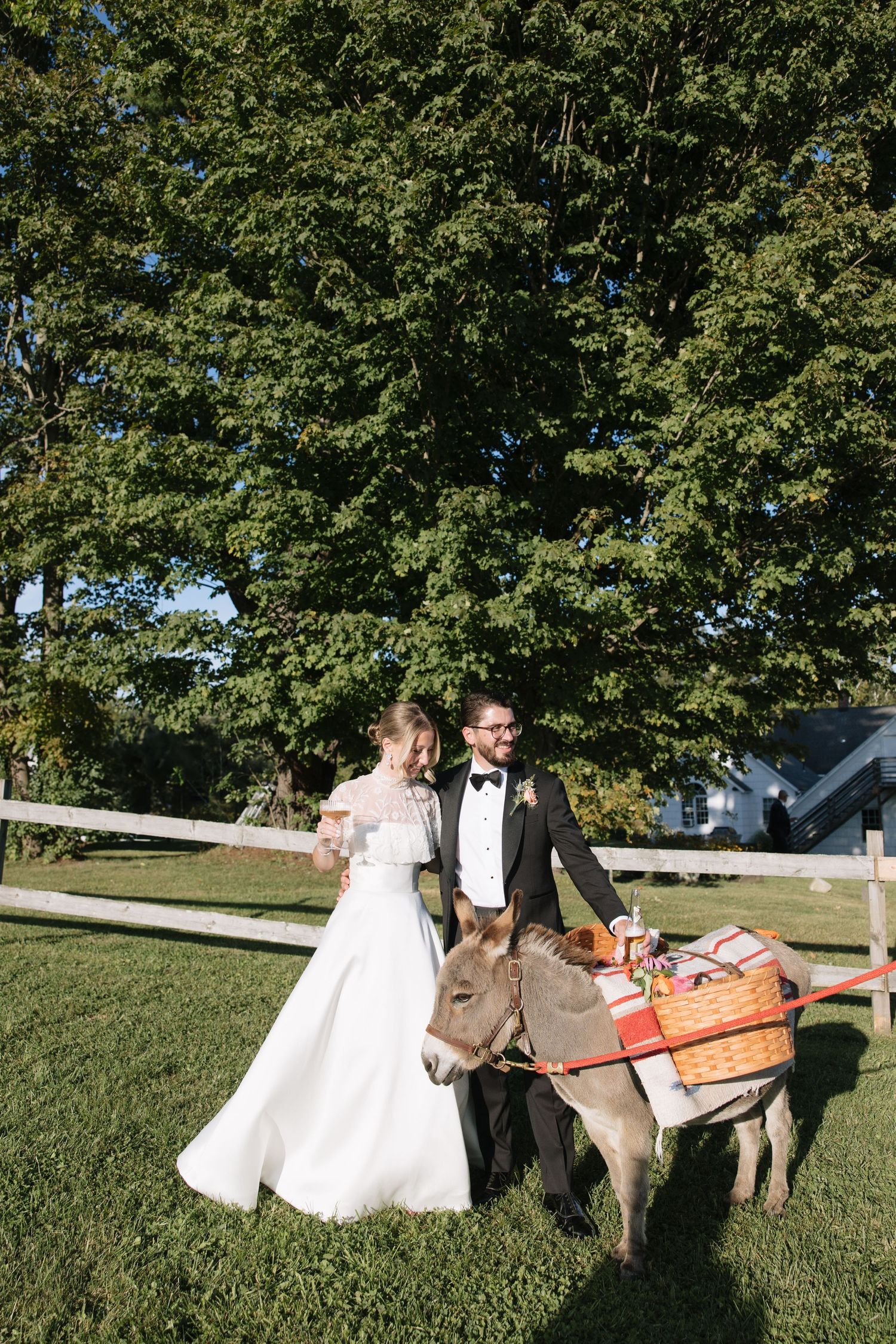 Bride and groom pose with a donkey carrying a picnic basket at an outdoor wedding on a sunny day.