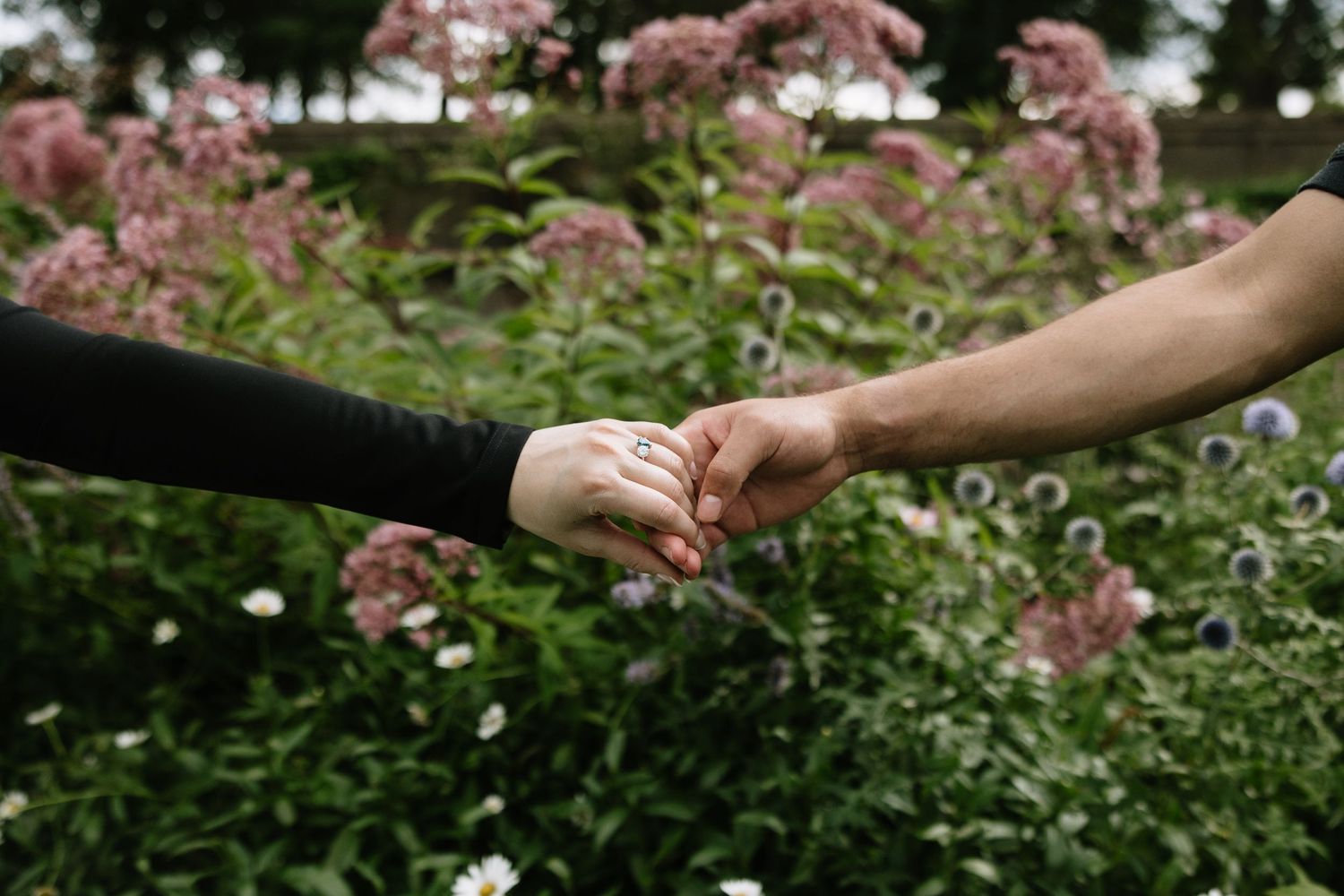 Two hands gently touching against a background of pink flowering bushes.