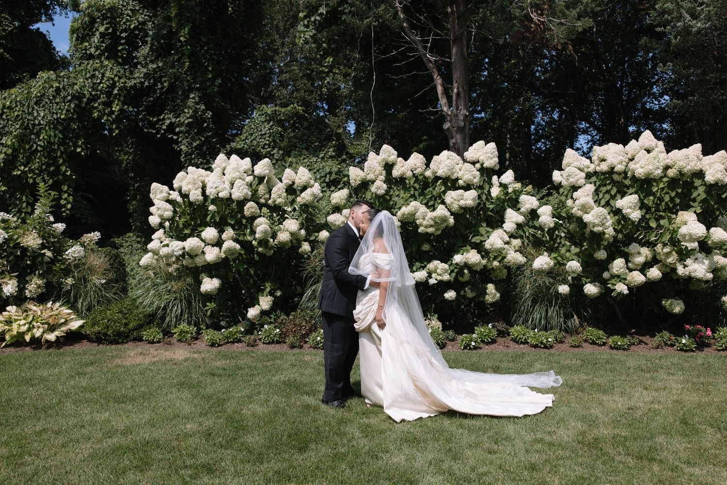 Bride and groom share a romantic kiss in front of lush white hydrangea bushes on a sunny wedding day.