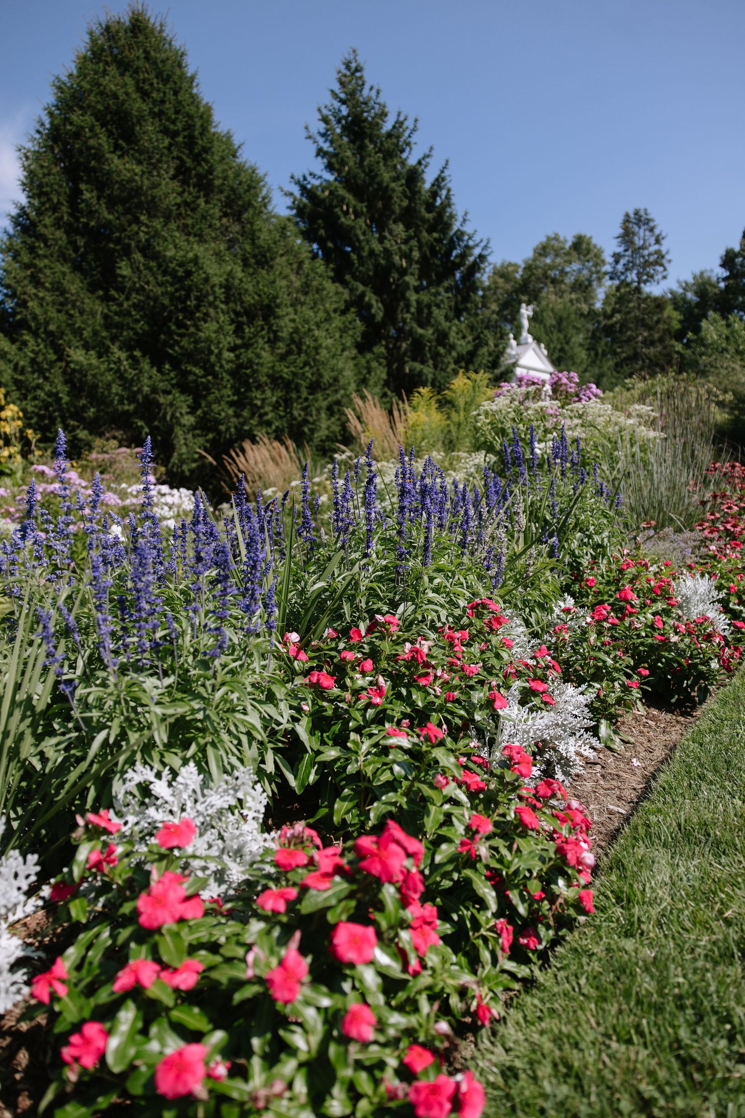 Garden path lined with vibrant pink flowers and tall blue delphiniums in full summer bloom.